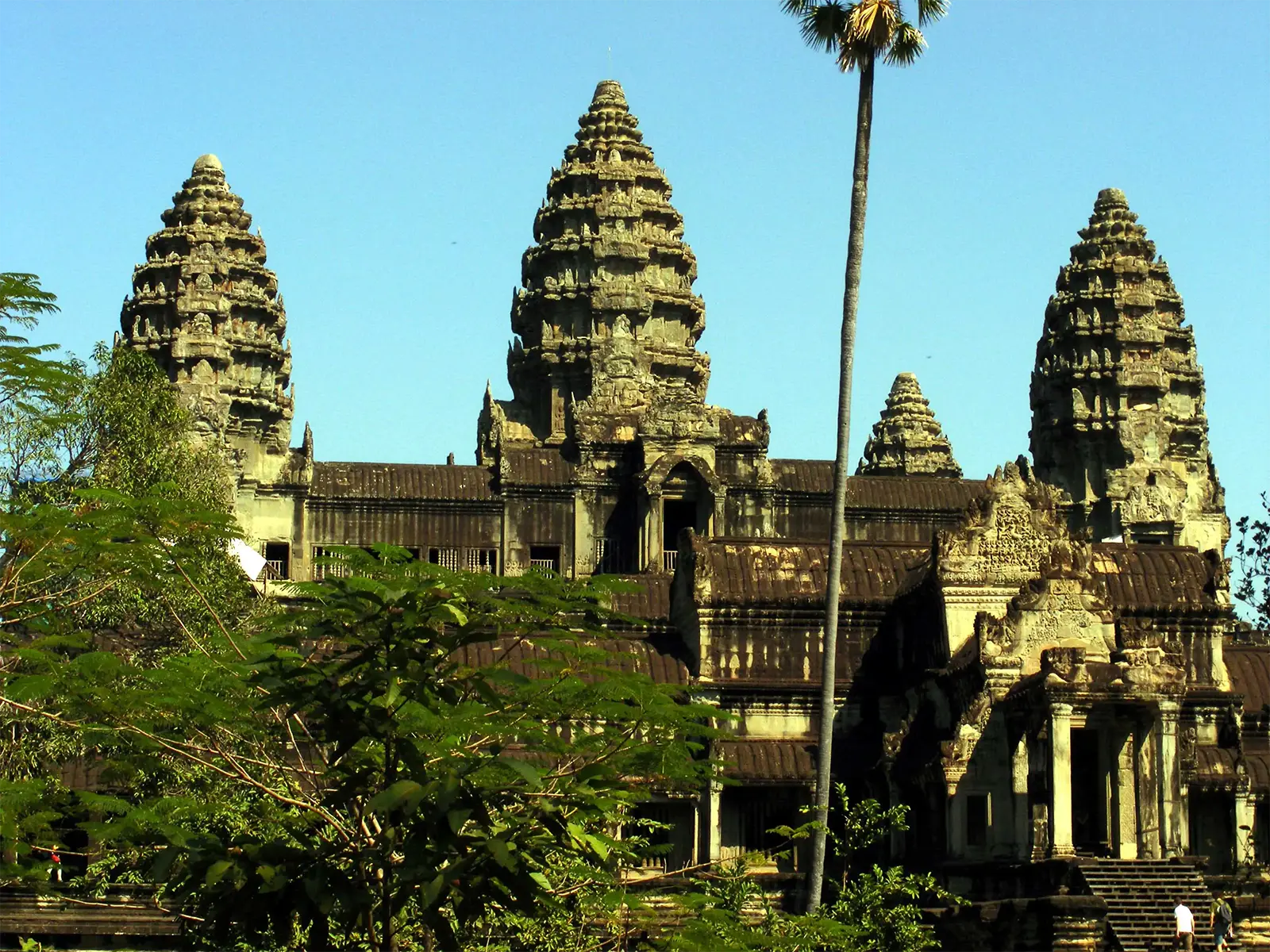 Les tours d’Angkor Wat sous un ciel bleu, derrière un palmier à sucre et la végétation