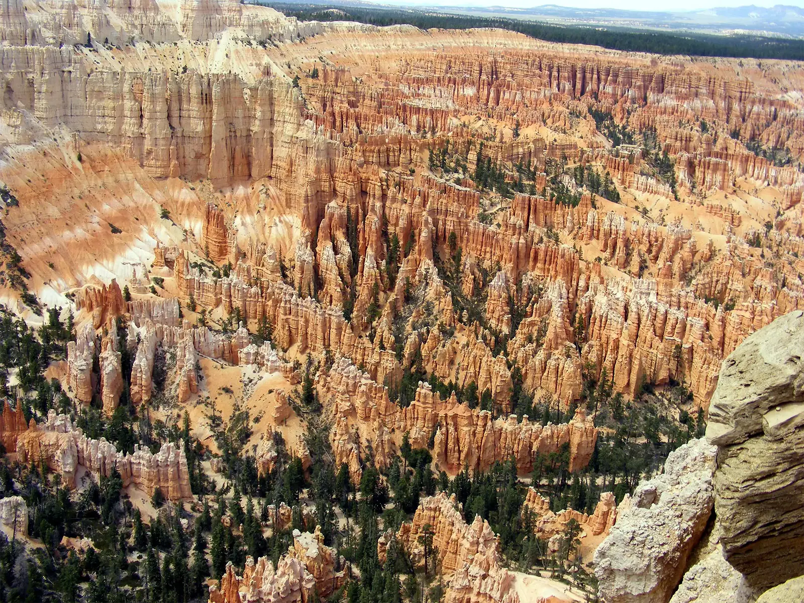Rocher clair au premier plan et milliers de hoodoos de l’amphithéâtre de Bryce Canyon