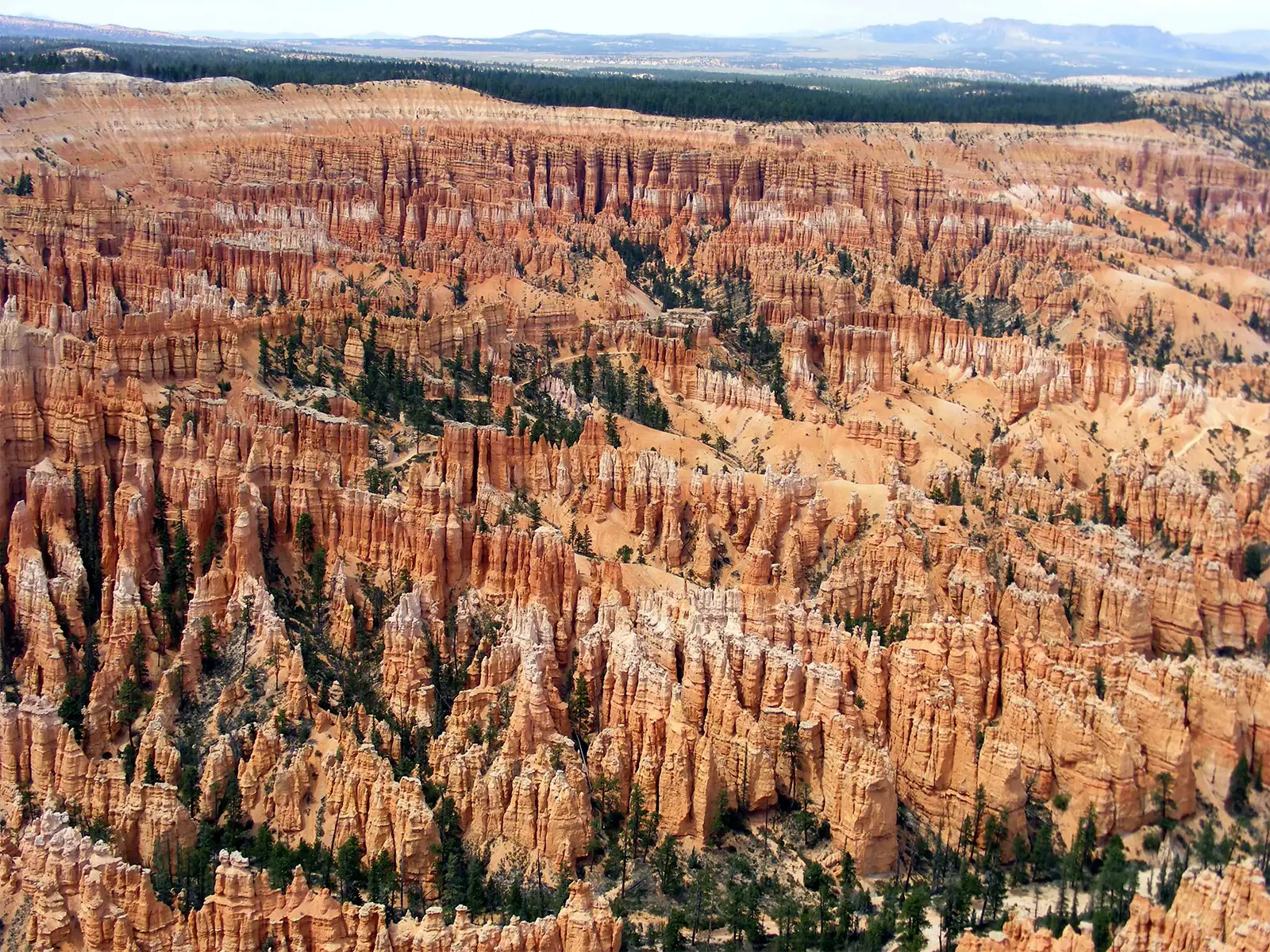 Vue d’ensemble de l’amphithéâtre de Bryce Canyon et de ses milliers de cheminées de roche rouge