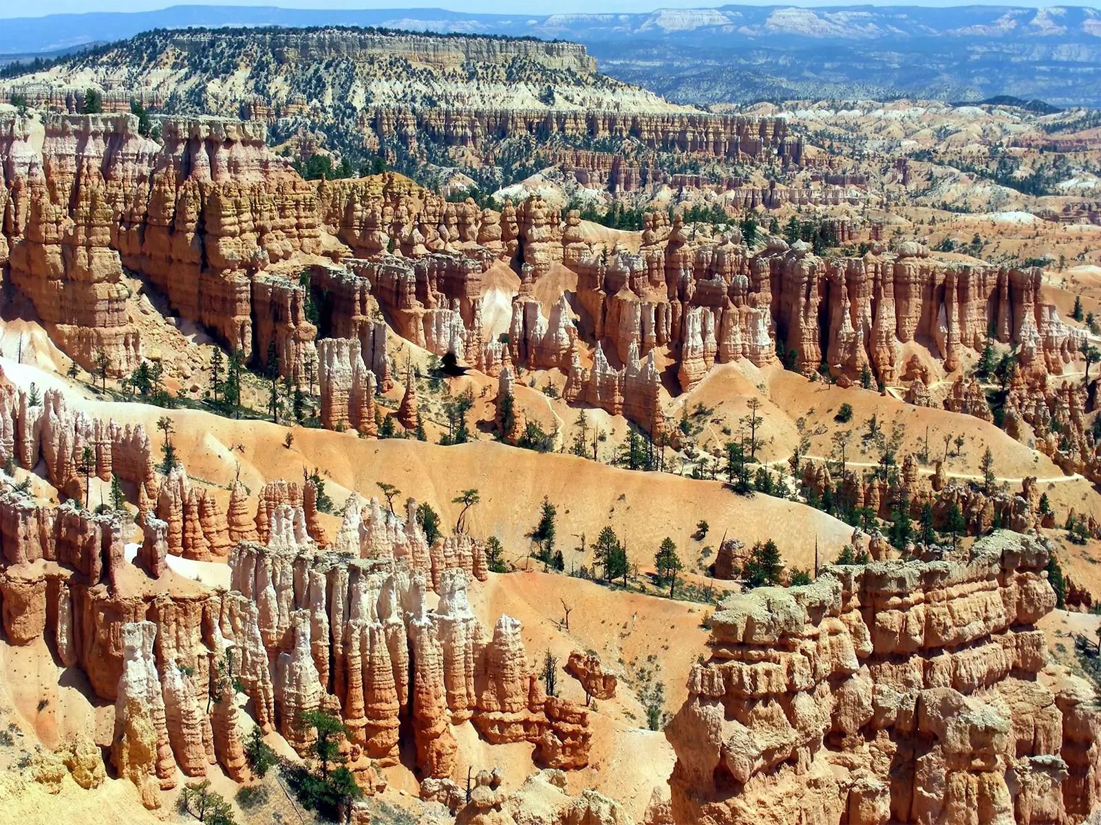 Cheminées de roche rouge et blanche alignées dans les vallons de Bryce Canyon, dans le sud de l’Utah