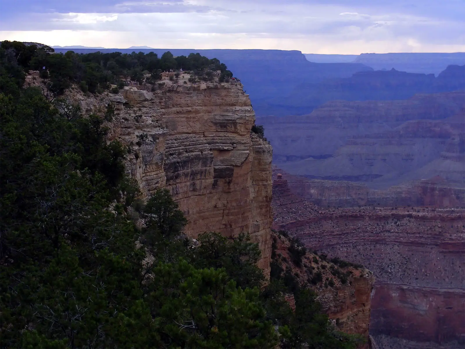 Falaise couverte de pins face aux plateaux du Grand Canyon à la tombée du jour, sous les nuages