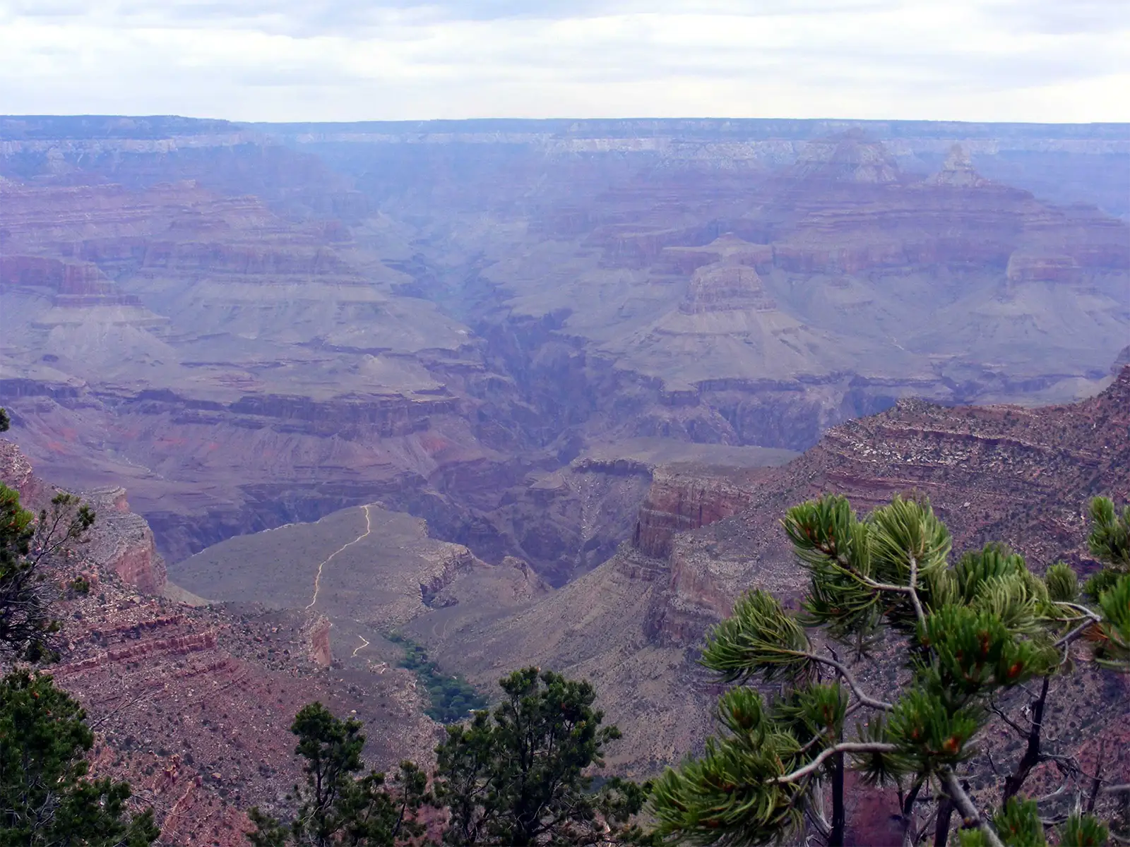 Panorama sur le Grand Canyon et un sentier qui traverse un plateau en contrebas, entre deux pins
