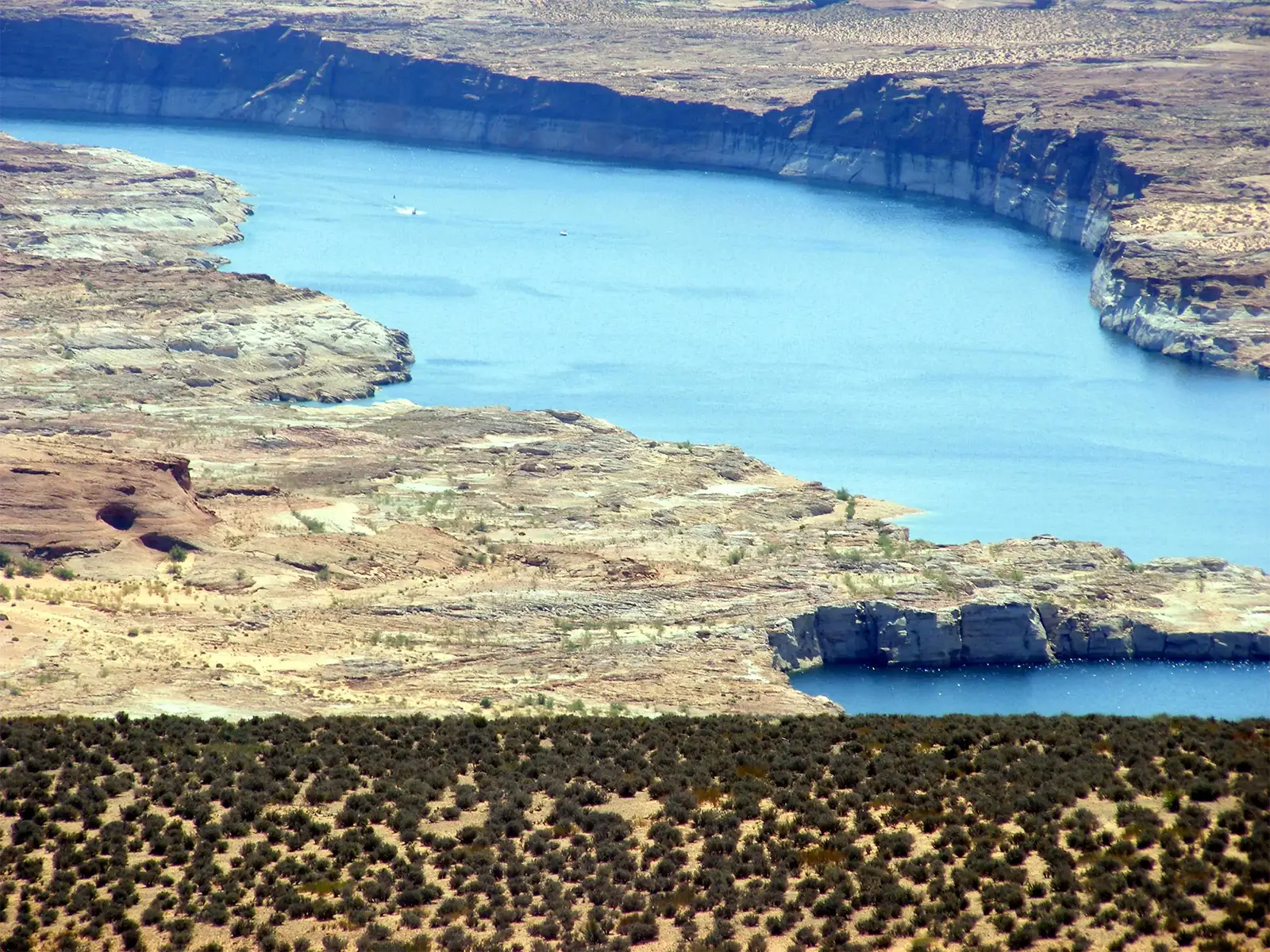 Baie du lac Powell bordée de falaises claires et plateau désertique couvert d’arbustes