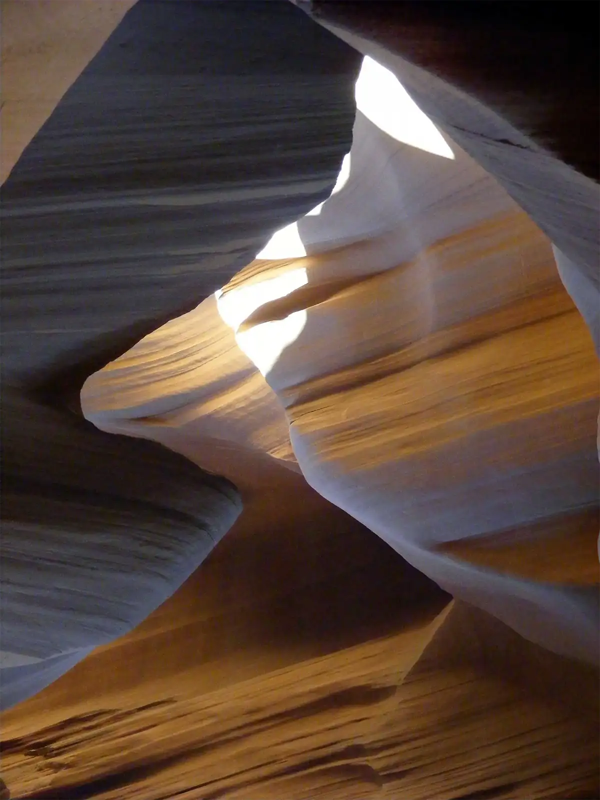 Vague de grès ocre et grise éclairée d’en haut dans les entrailles d’Antelope Canyon