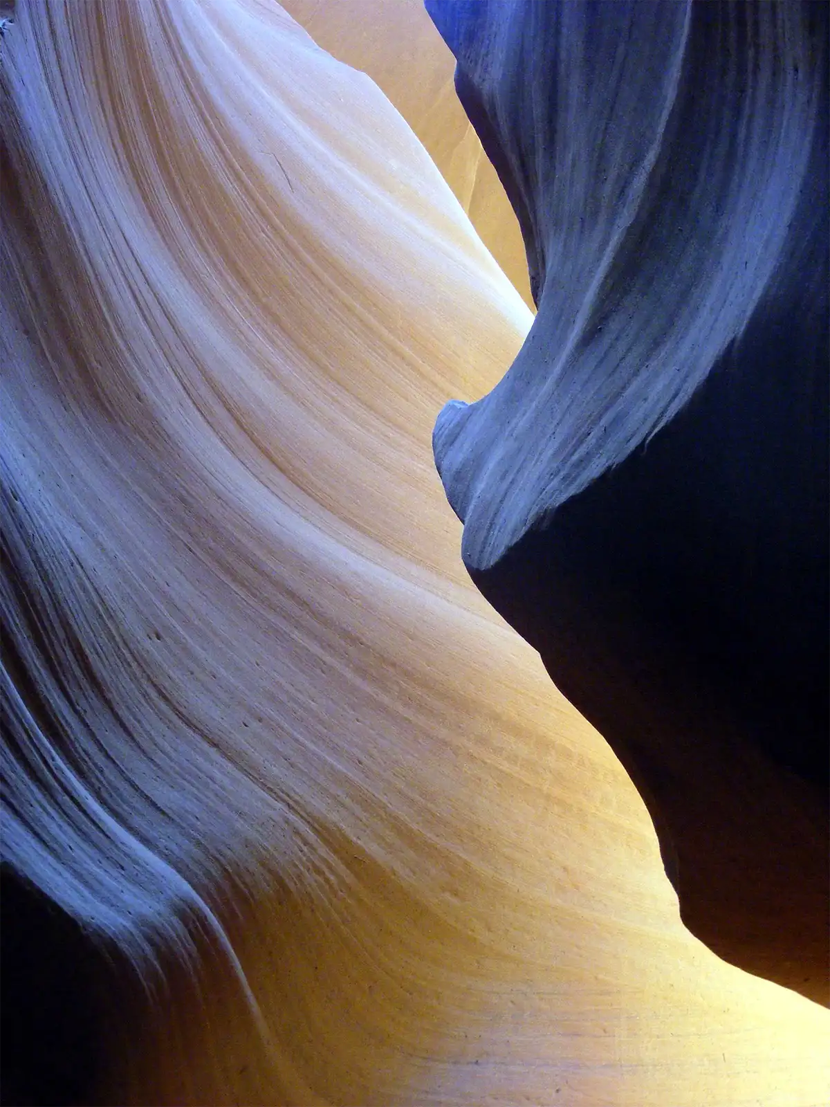 Parois de grès bleutées et dorées qui ondulent dans la pénombre d’Antelope Canyon