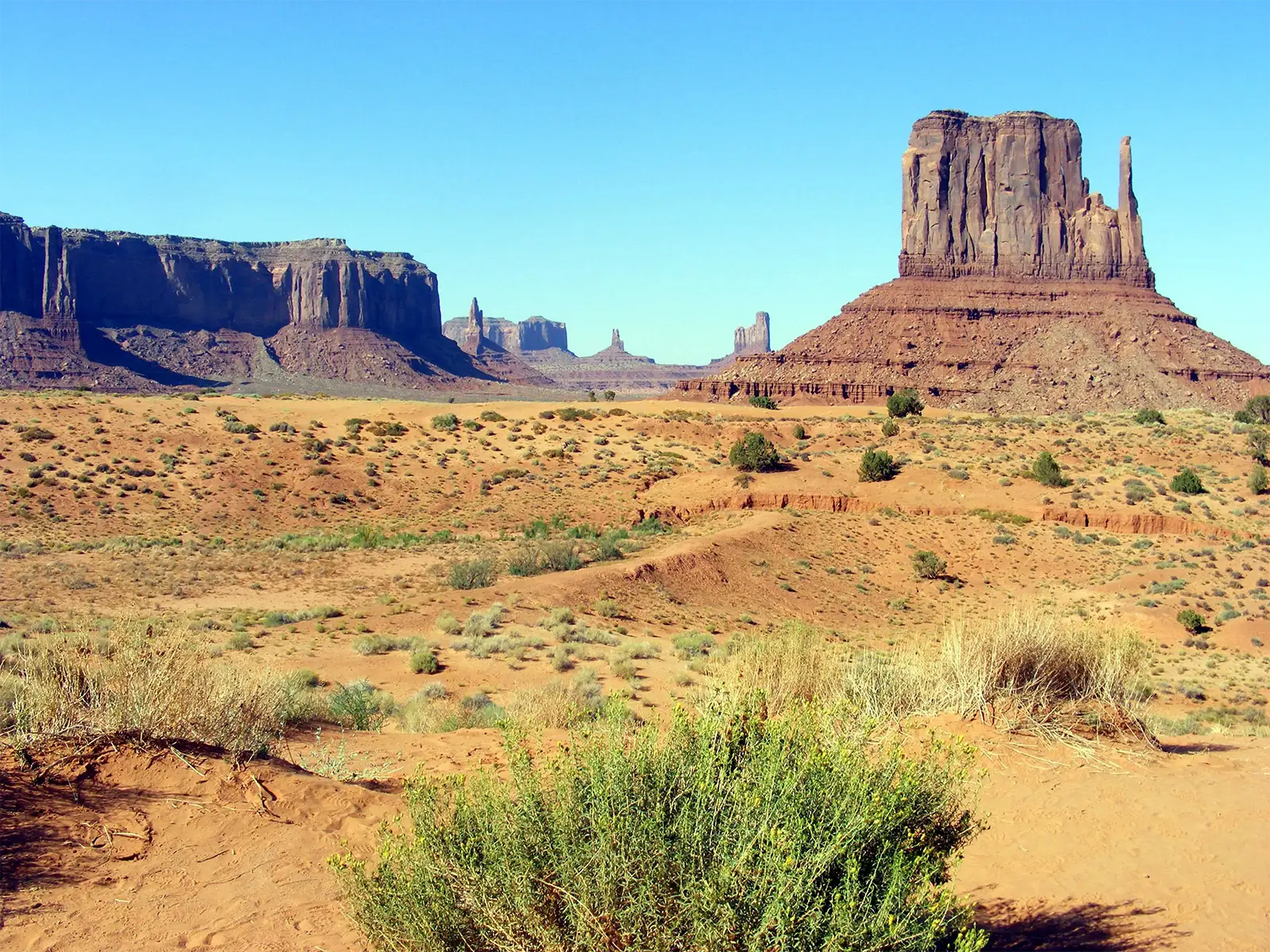 West Mitten Butte sous un ciel bleu, derrière des touffes d’armoise et le sable rouge de Monument Valley