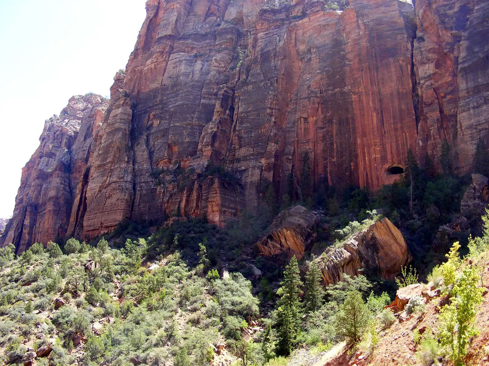 Haute paroi de grès rouge et gros rochers éboulés dans la végétation du parc national de Zion