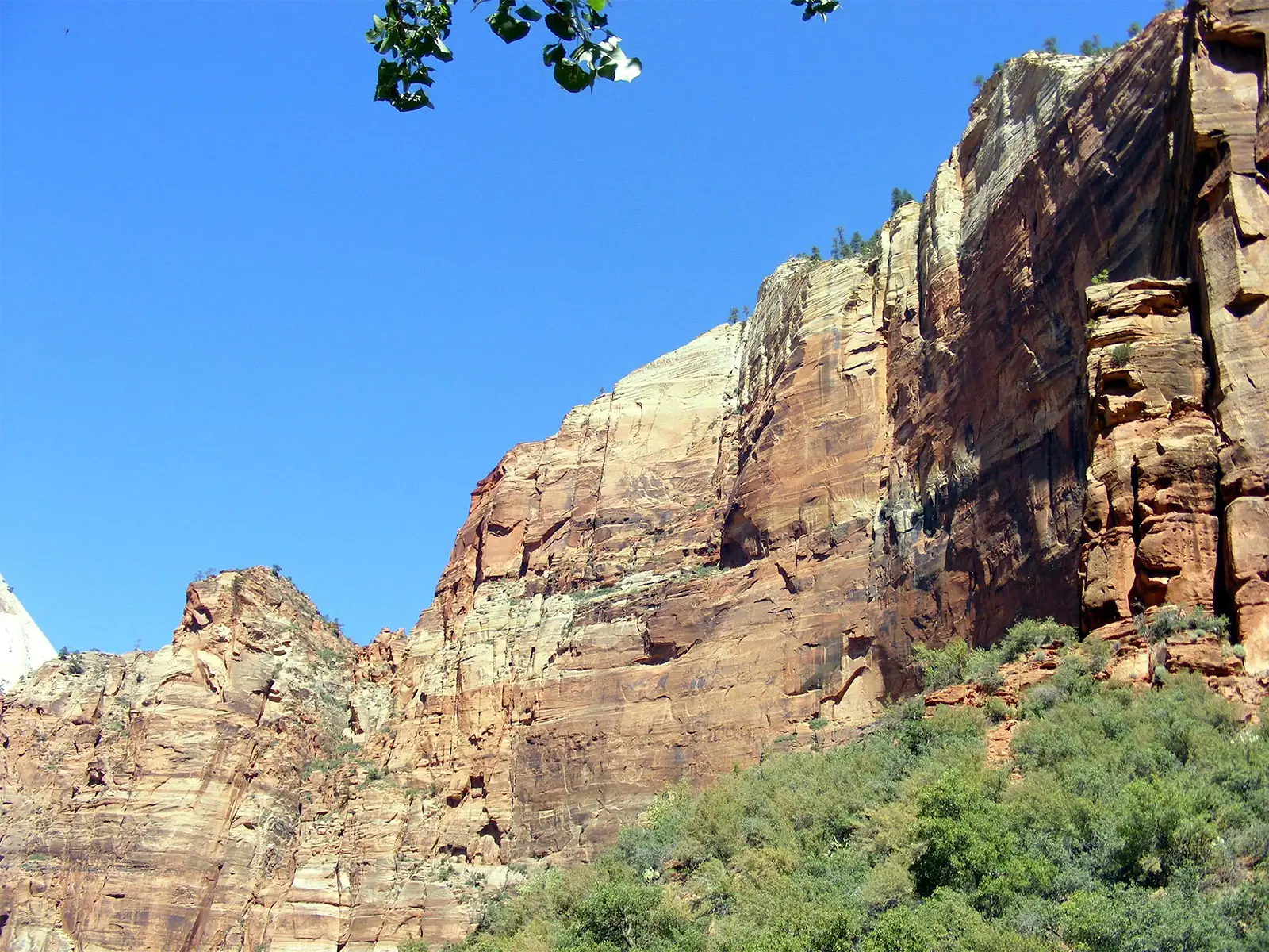 Falaises de grès ocre et rouge sous un ciel bleu limpide, au fond du canyon de Zion