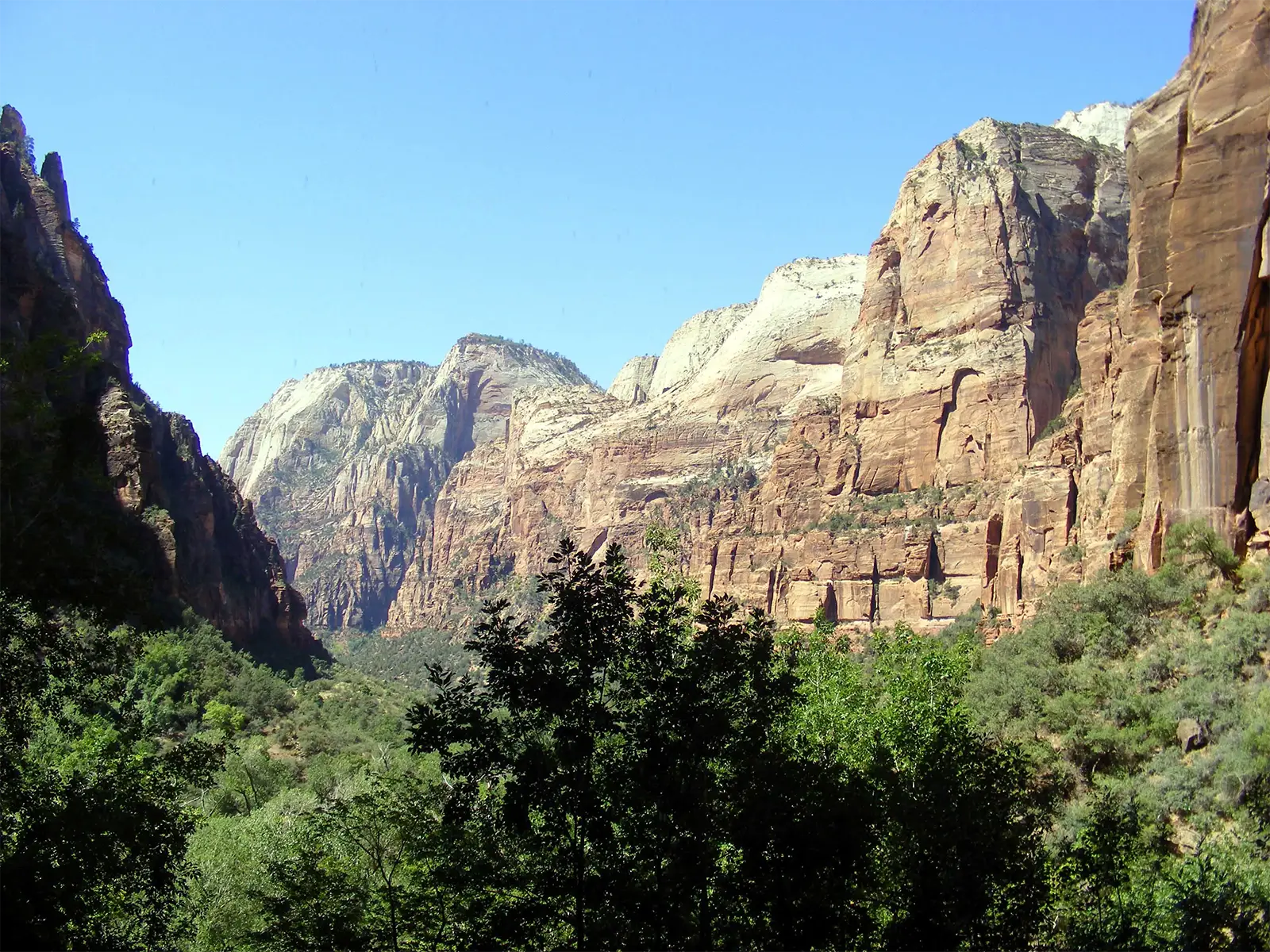 Vallée boisée et montagnes aux formes arrondies du parc national de Zion, dans l’Utah