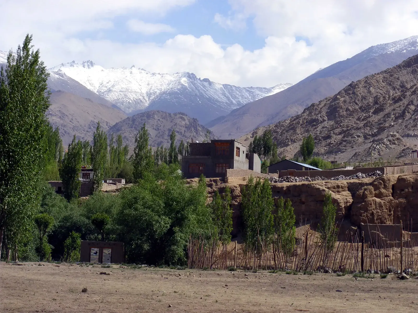 Village aux peupliers et maisons de terre au pied des montagnes enneigées, près de Leh