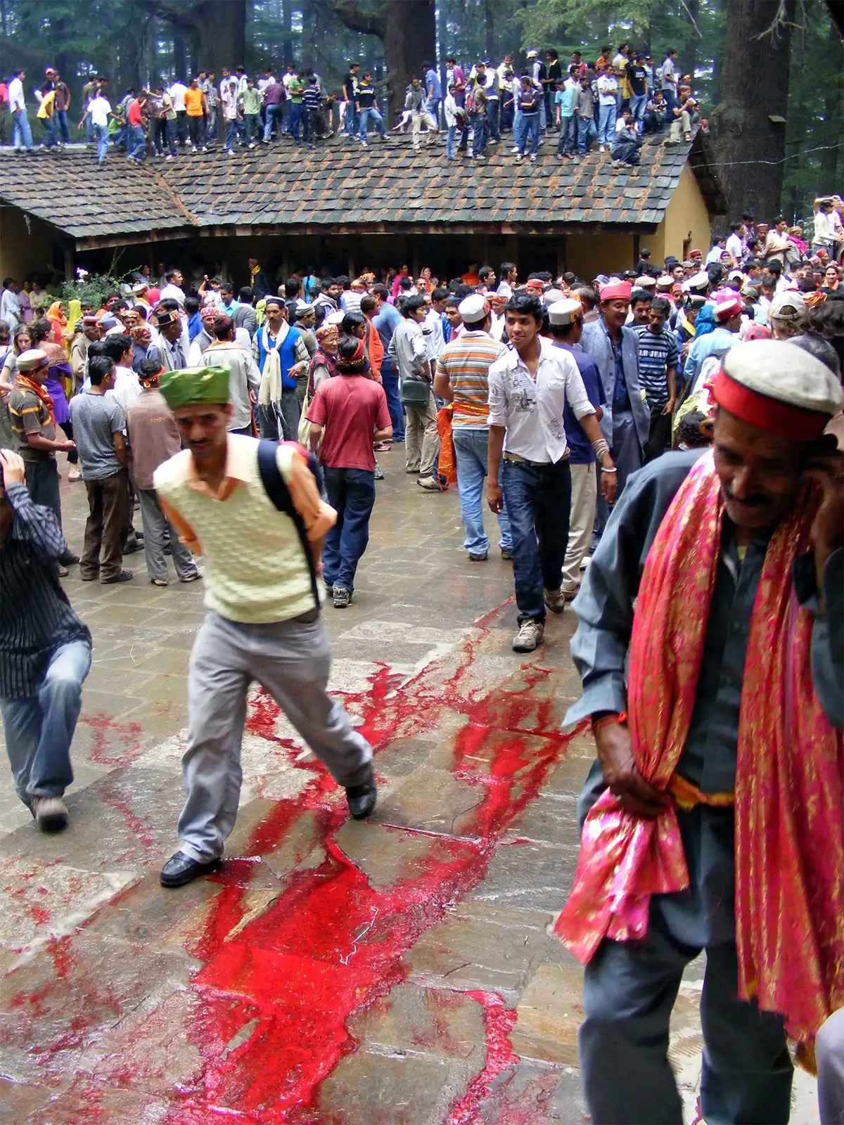 Foule et traînées rouges sur le parvis lors d’une fête religieuse dans la forêt de Manali