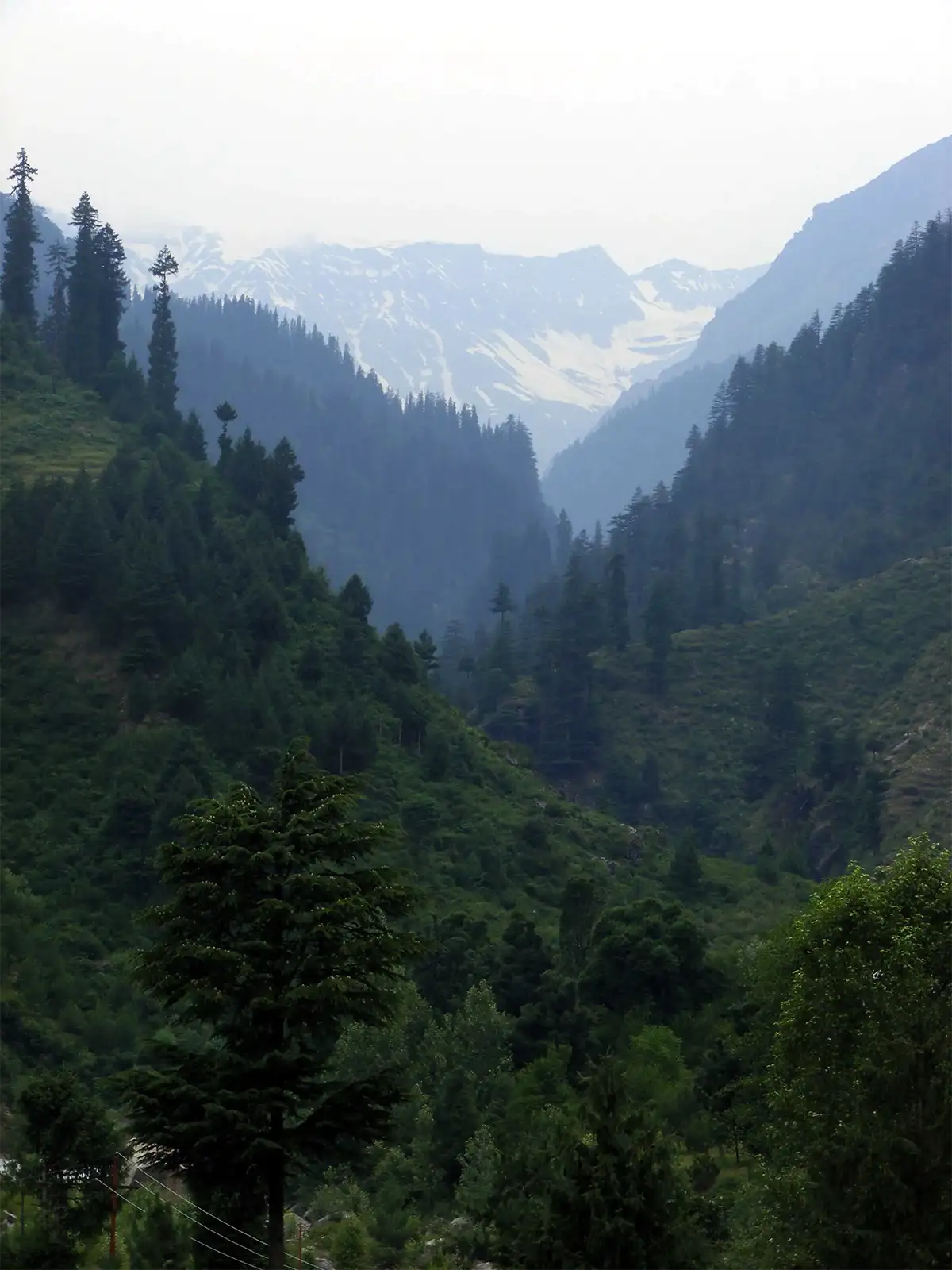 Vallée boisée et sommets enneigés en arrivant à Manali après le col de Rohtang La