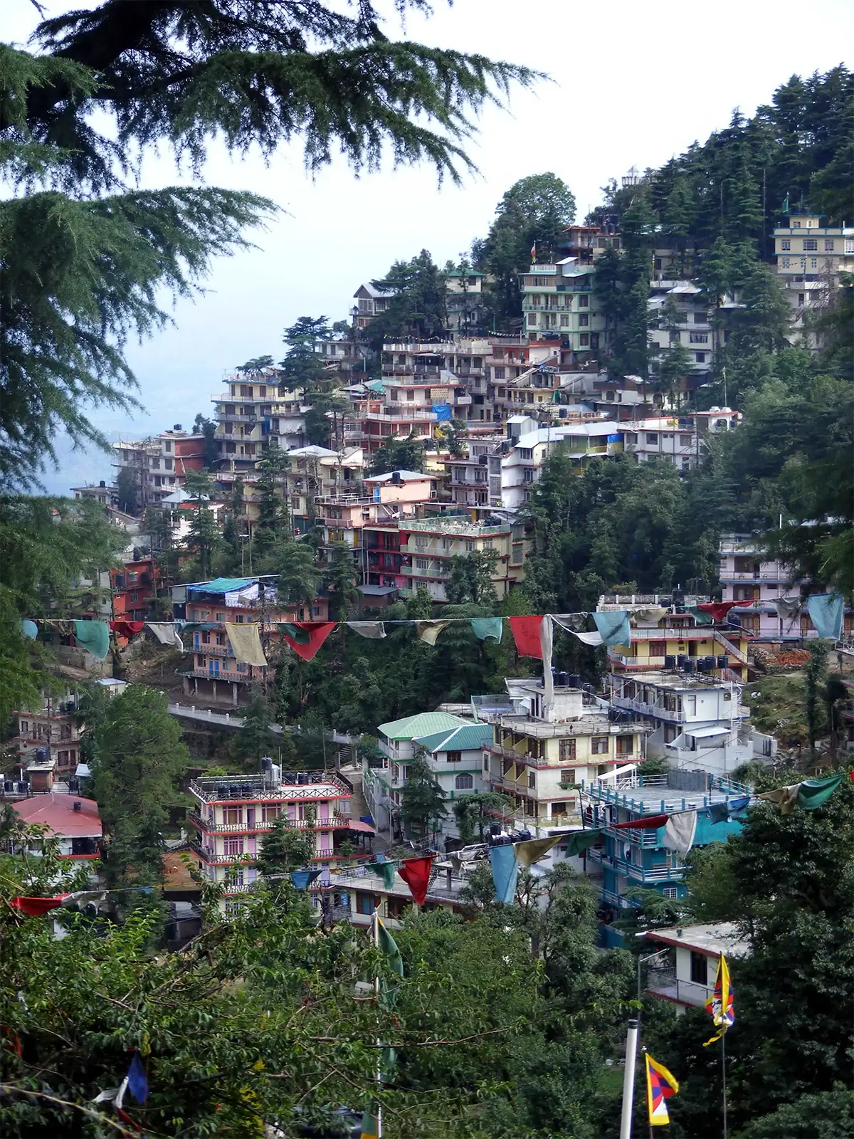 Maisons étagées et drapeaux de prière tibétains sur les pentes de McLeod Ganj, à Dharamsala
