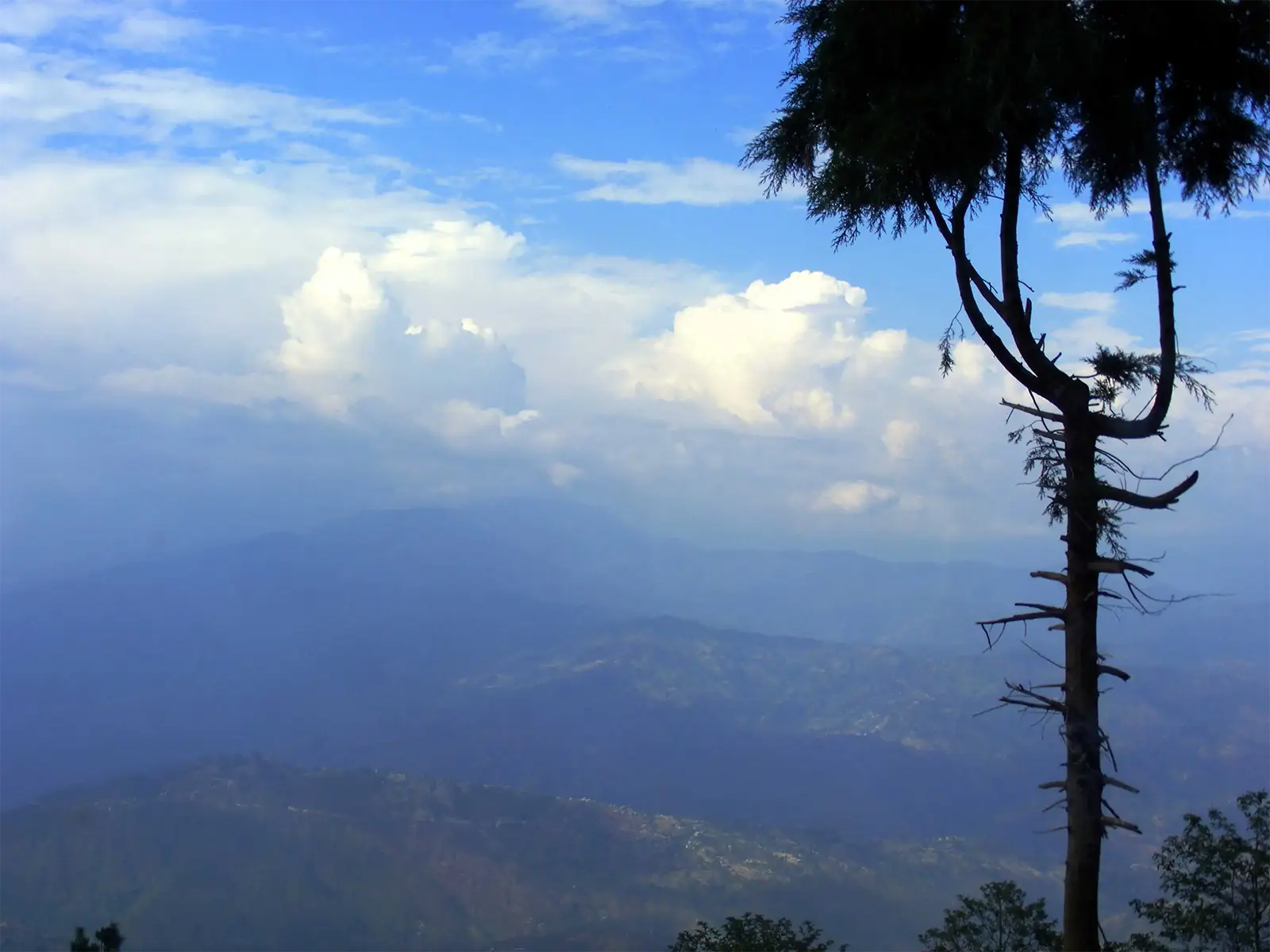 Collines brumeuses et grand arbre sous les nuages, vus des hauteurs de Nagarkot