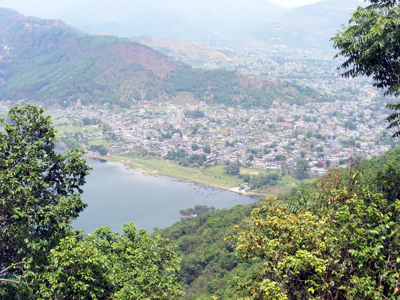 Pokhara et la pointe du lac Phewa vues à travers la forêt de la colline