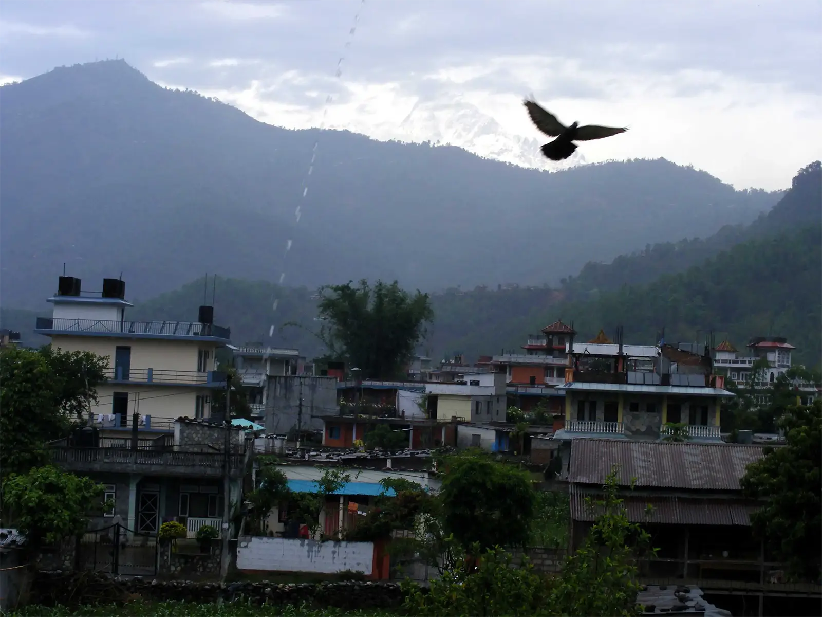 Oiseau en vol au-dessus des maisons de Pokhara sous un ciel nuageux et des montagnes