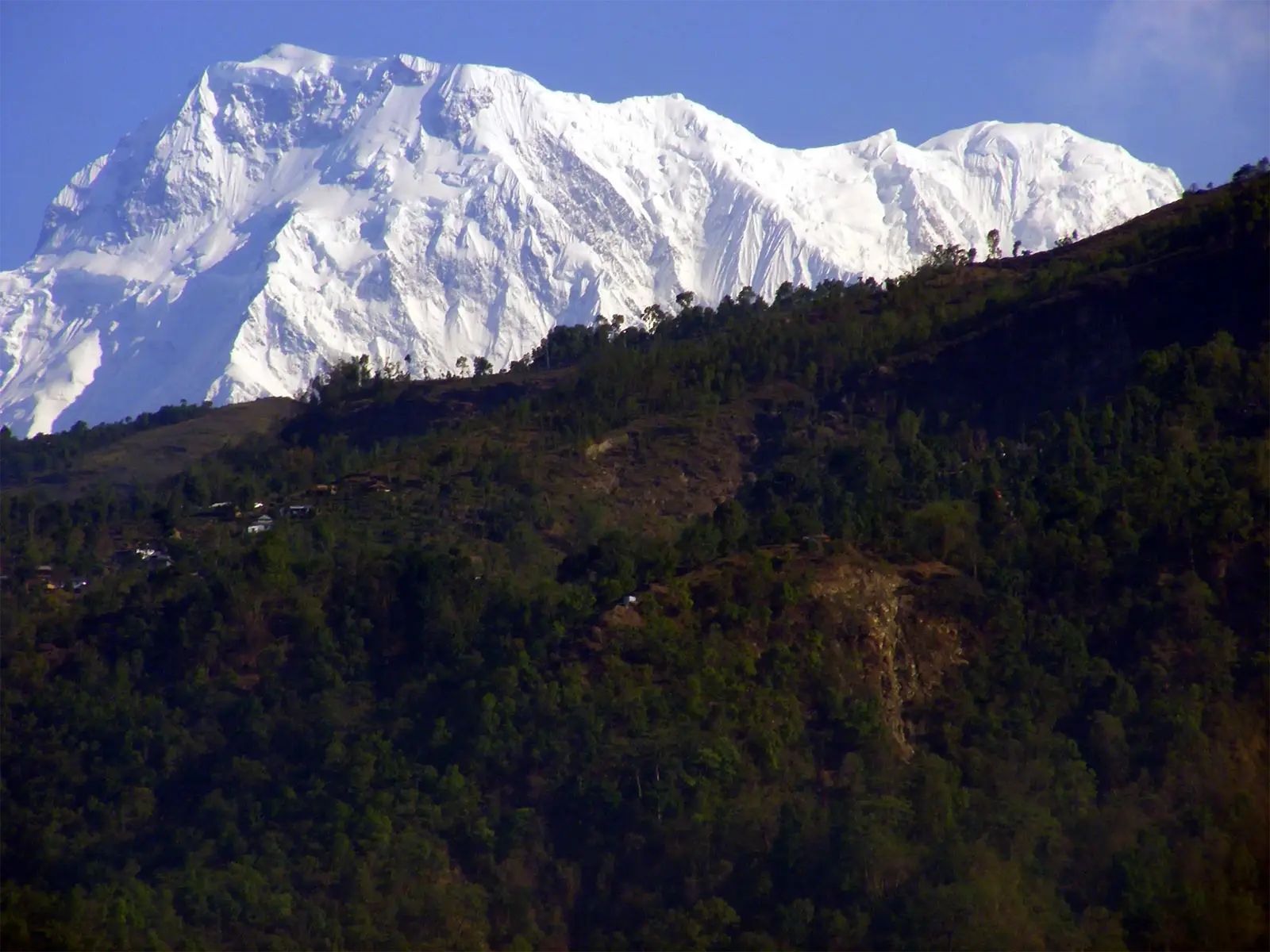Massif enneigé des Annapurnas dominant les collines boisées de Pokhara