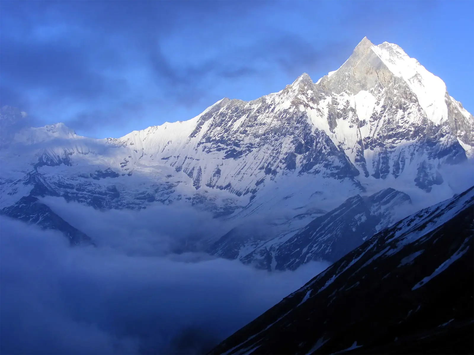 Le Machapuchare dans la lumière bleue de l’aube au-dessus d’une mer de nuages, sanctuaire des Annapurnas