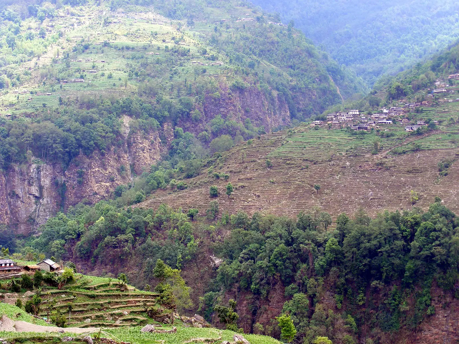 Villages et cultures en terrasses accrochés aux versants d’une vallée du trek des Annapurnas