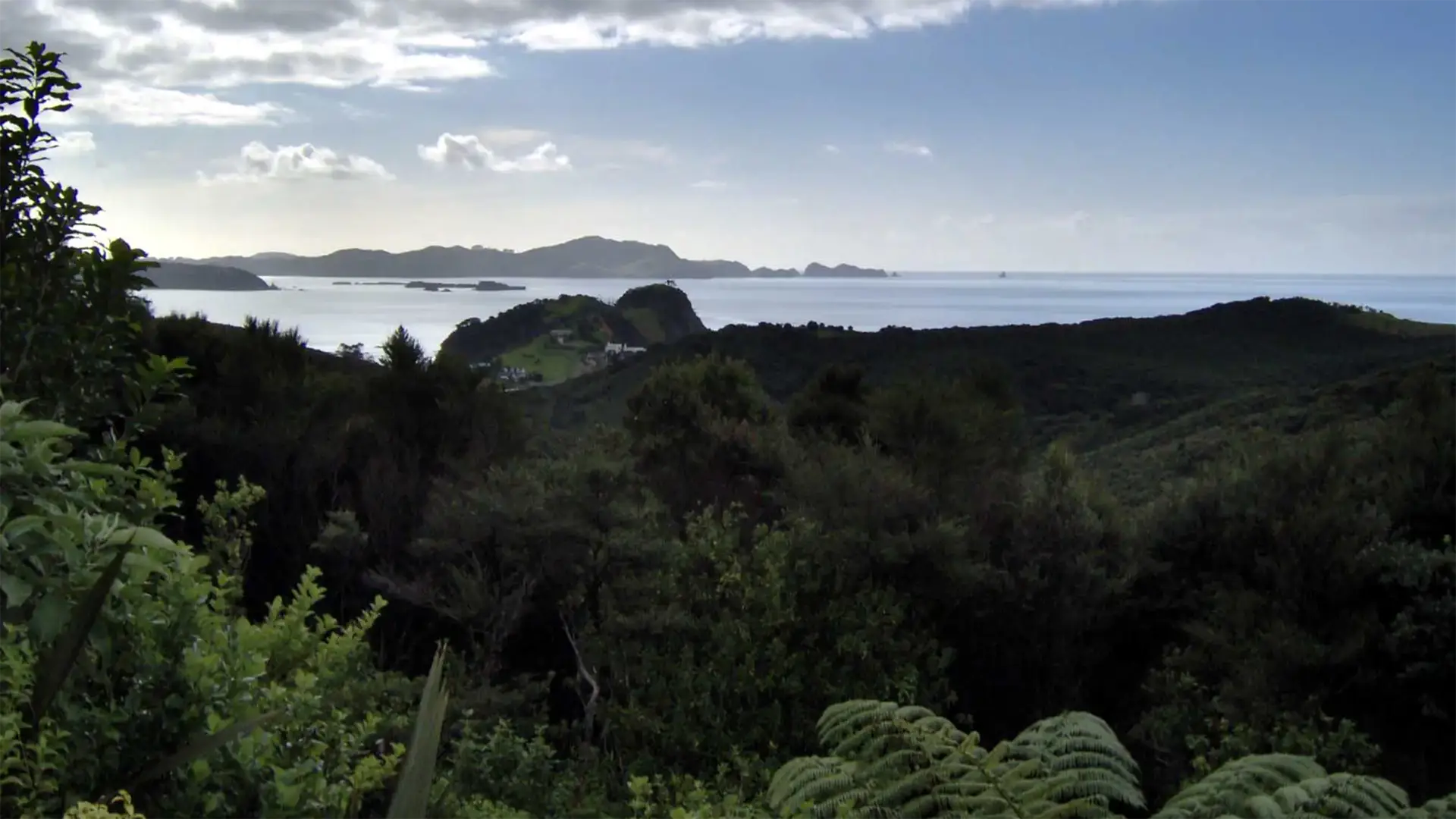 Fougères et forêt dense dominant la Bay of Islands et ses îlots, en fin de journée