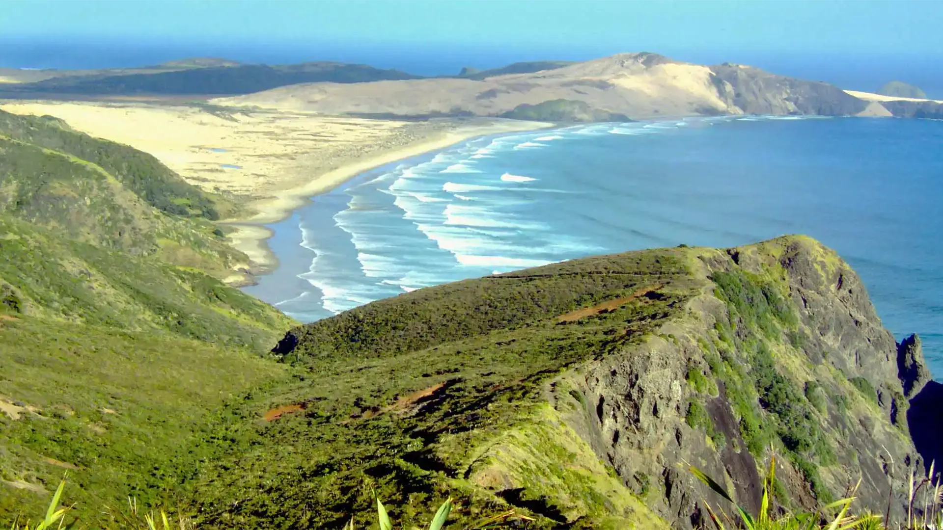 Falaises verdoyantes et longue plage battue par les vagues au pied des dunes, près du cap Reinga