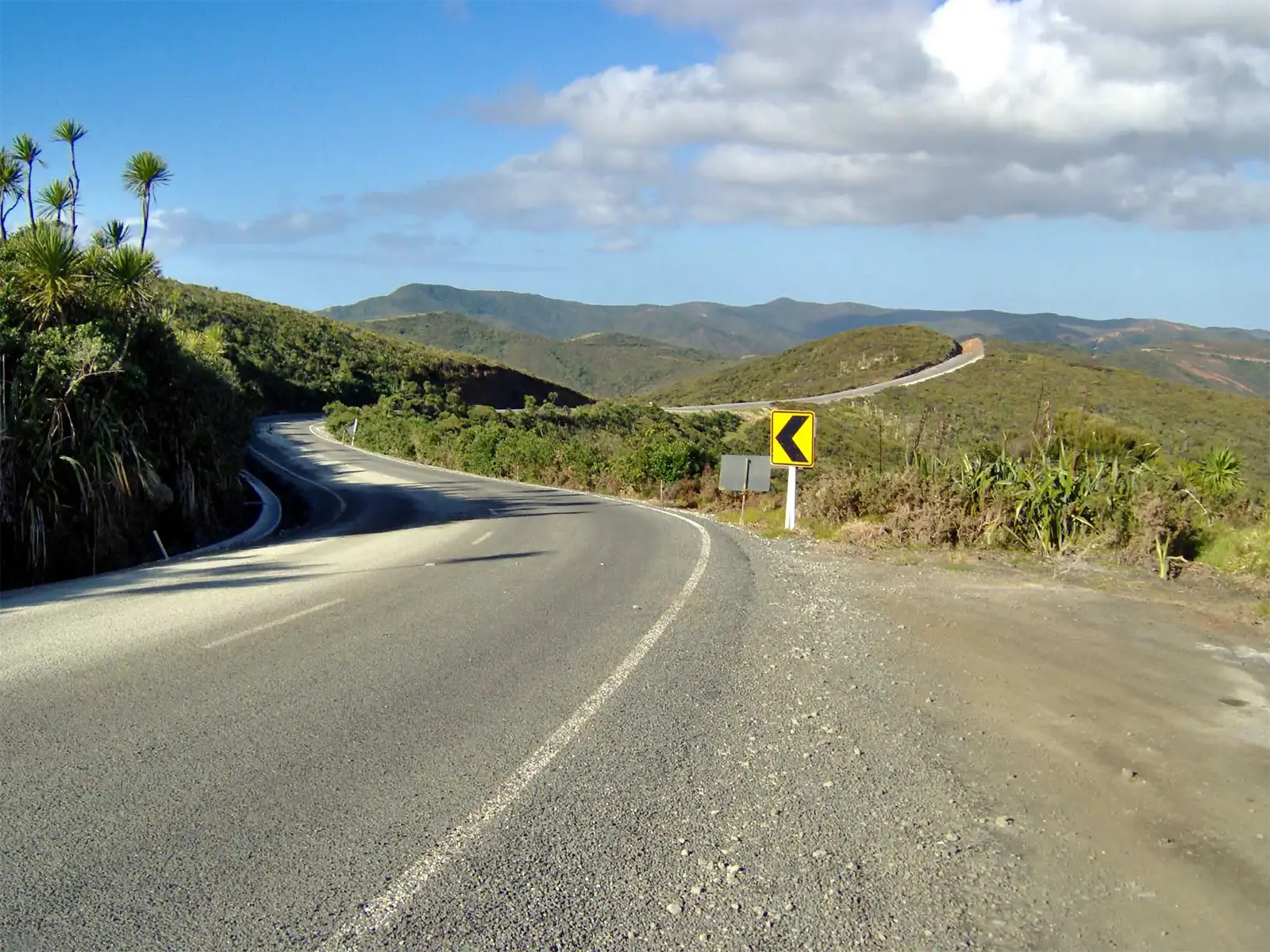 Route sinueuse bordée de cordylines à travers les collines verdoyantes vers le cap Reinga