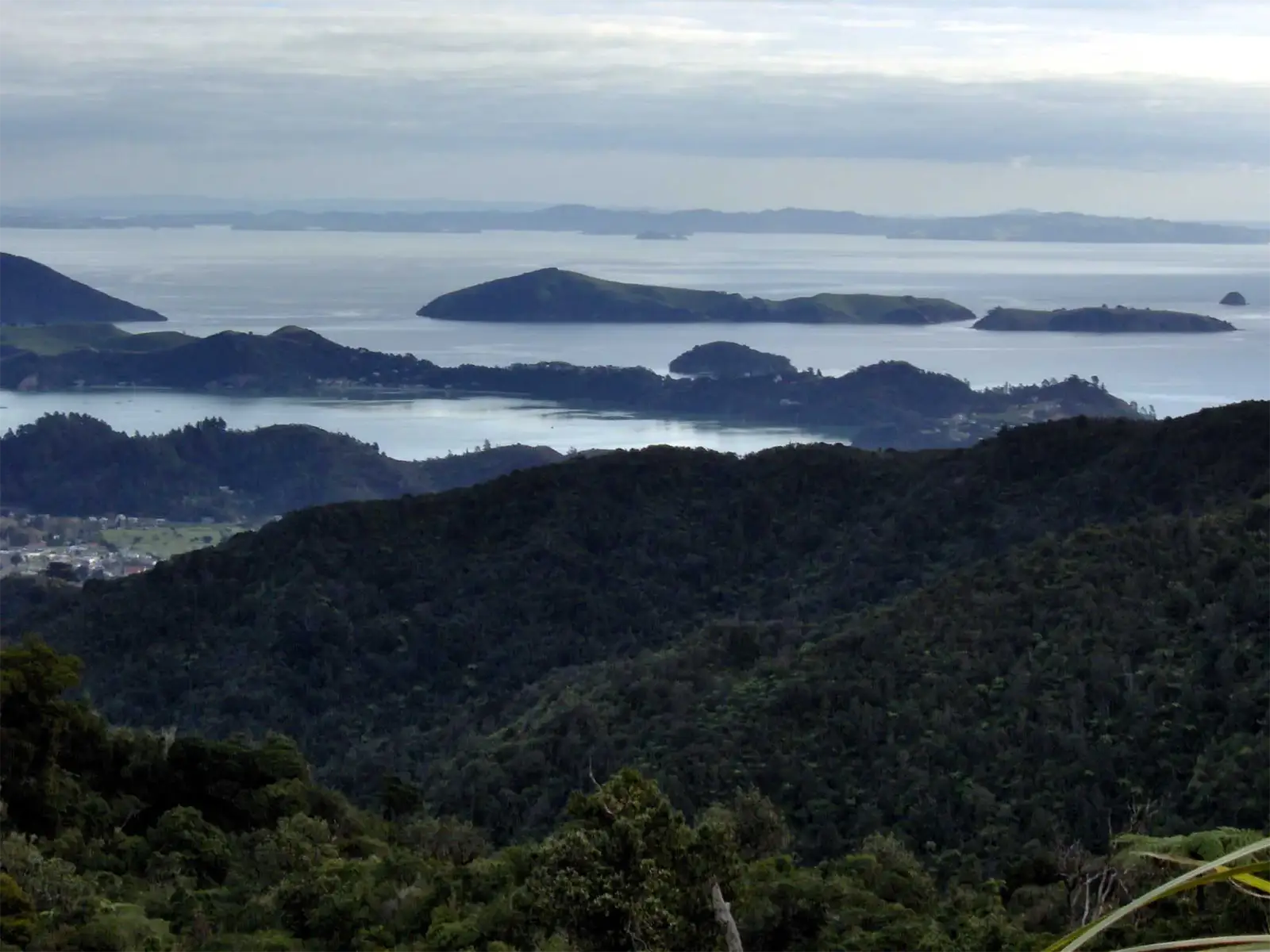 Collines boisées et îlots de la baie vus d’un belvédère de la péninsule de Coromandel