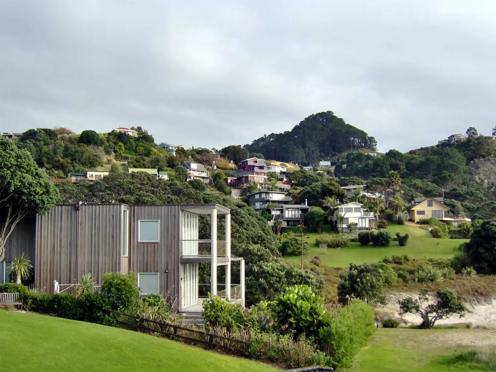 Maisons en bois sur une colline verdoyante d’un village côtier de la péninsule de Coromandel