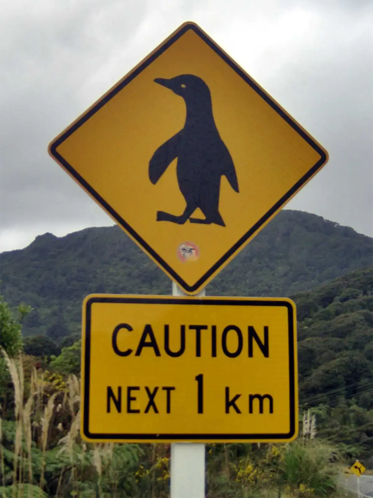 Panneau jaune signalant des manchots sur la route pendant 1 km, sur la côte ouest près de Greymouth