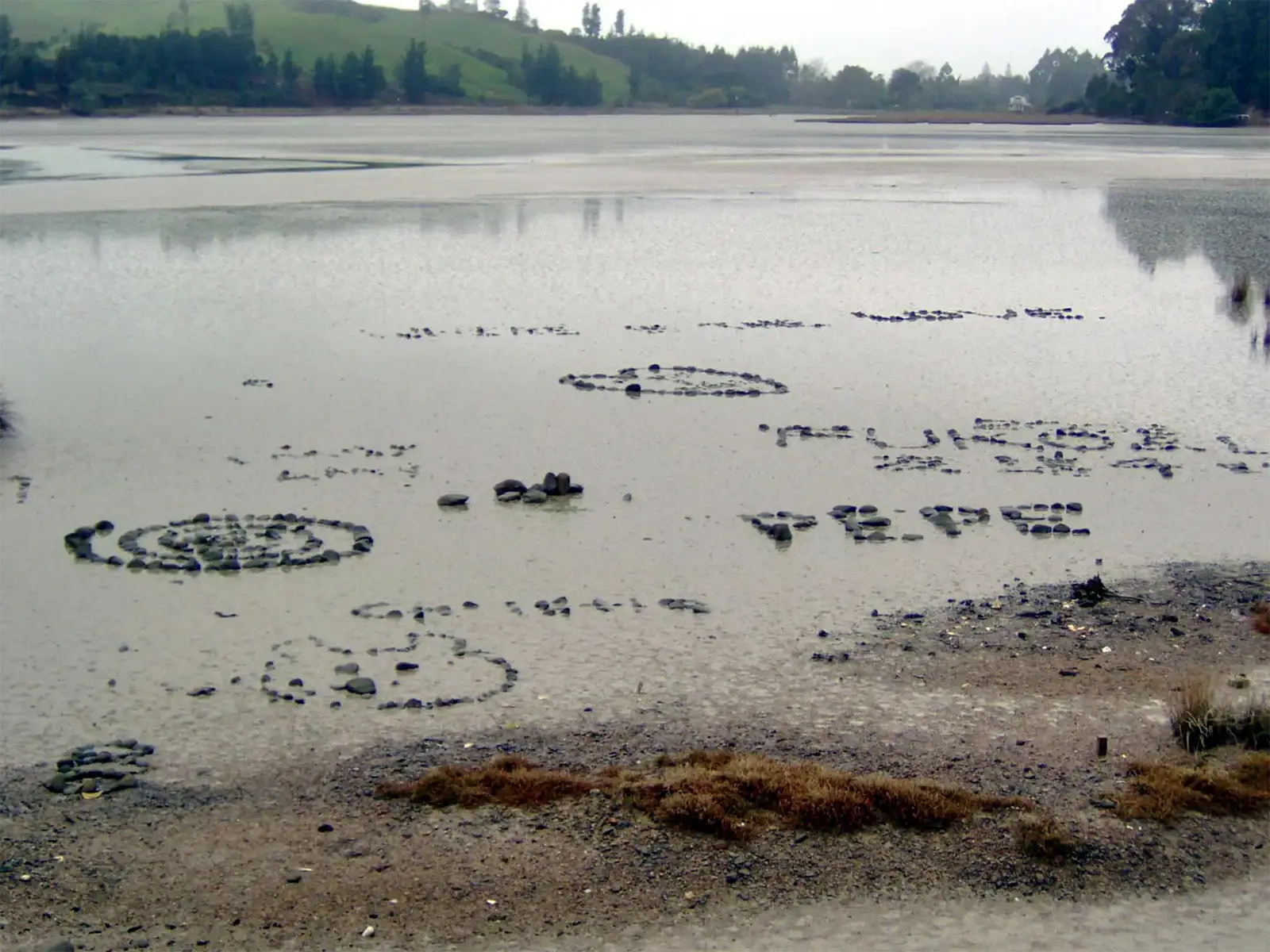 Cercles de galets disposés sur la vase d’un estuaire à marée basse, dans la région de Motueka
