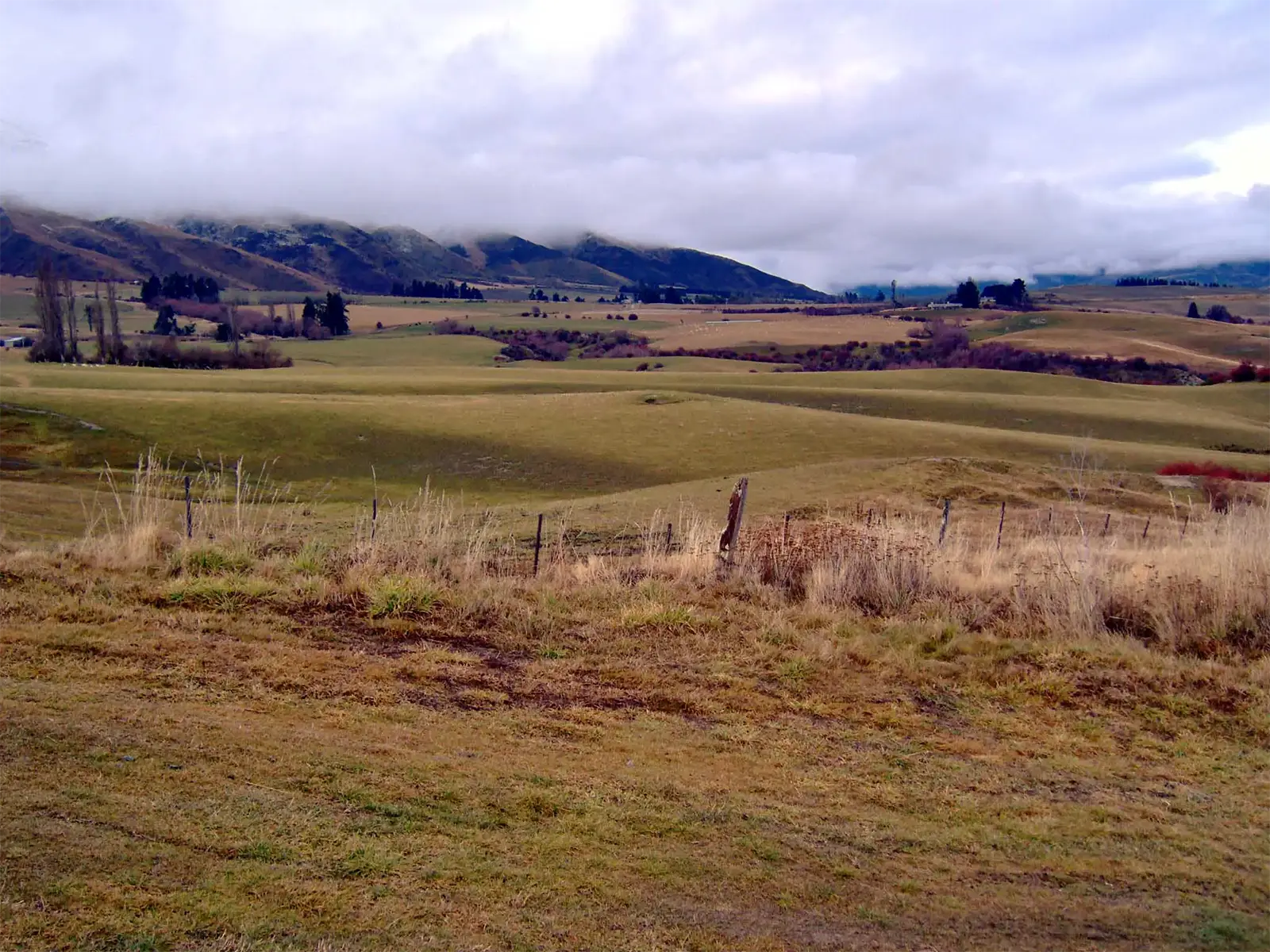 Pâturages vallonnés et montagnes coiffées de nuages dans la campagne autour de Queenstown
