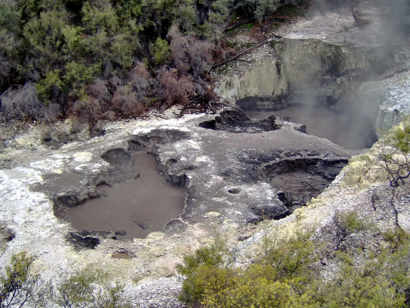 Bassins de boue grise fumante dans un site géothermique de la région de Rotorua