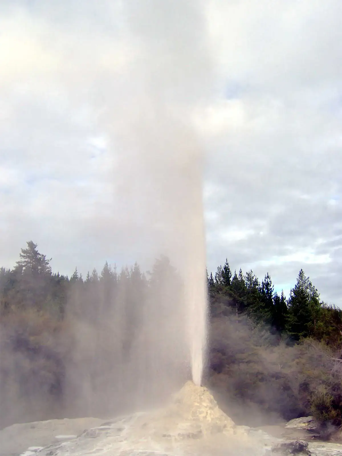 Geyser projetant une haute colonne d’eau et de vapeur depuis son cône de roche, près de Rotorua