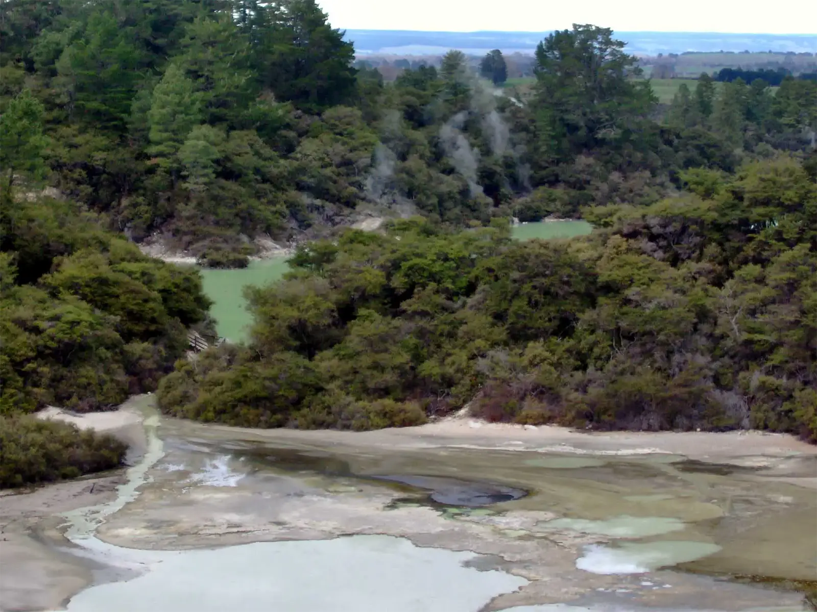 Lacs verts et terrasses minérales fumantes au milieu de la forêt, dans un site géothermique près de Rotorua
