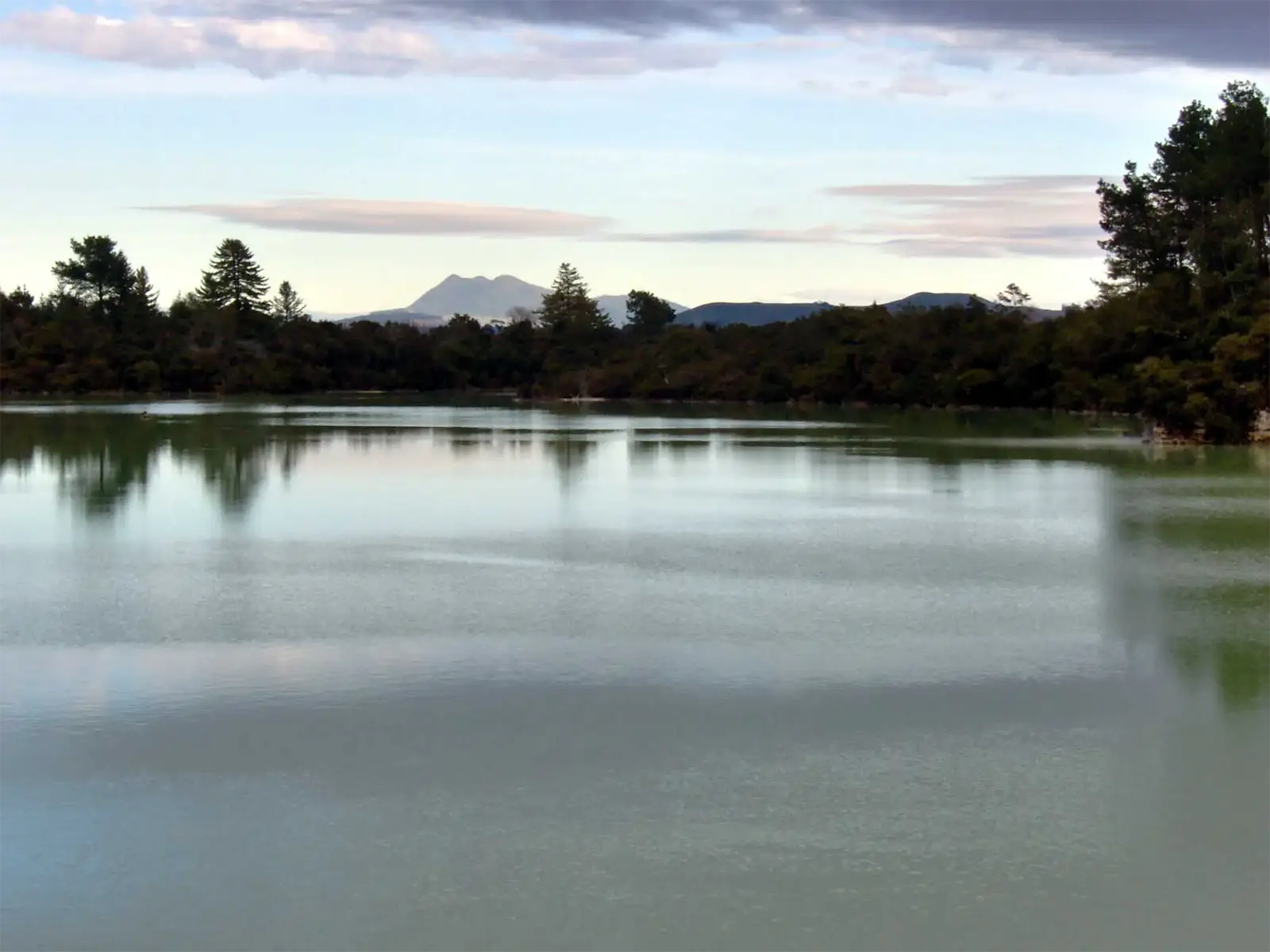 Lac calme reflétant les arbres au crépuscule, avec un sommet volcanique à l’horizon, près de Rotorua