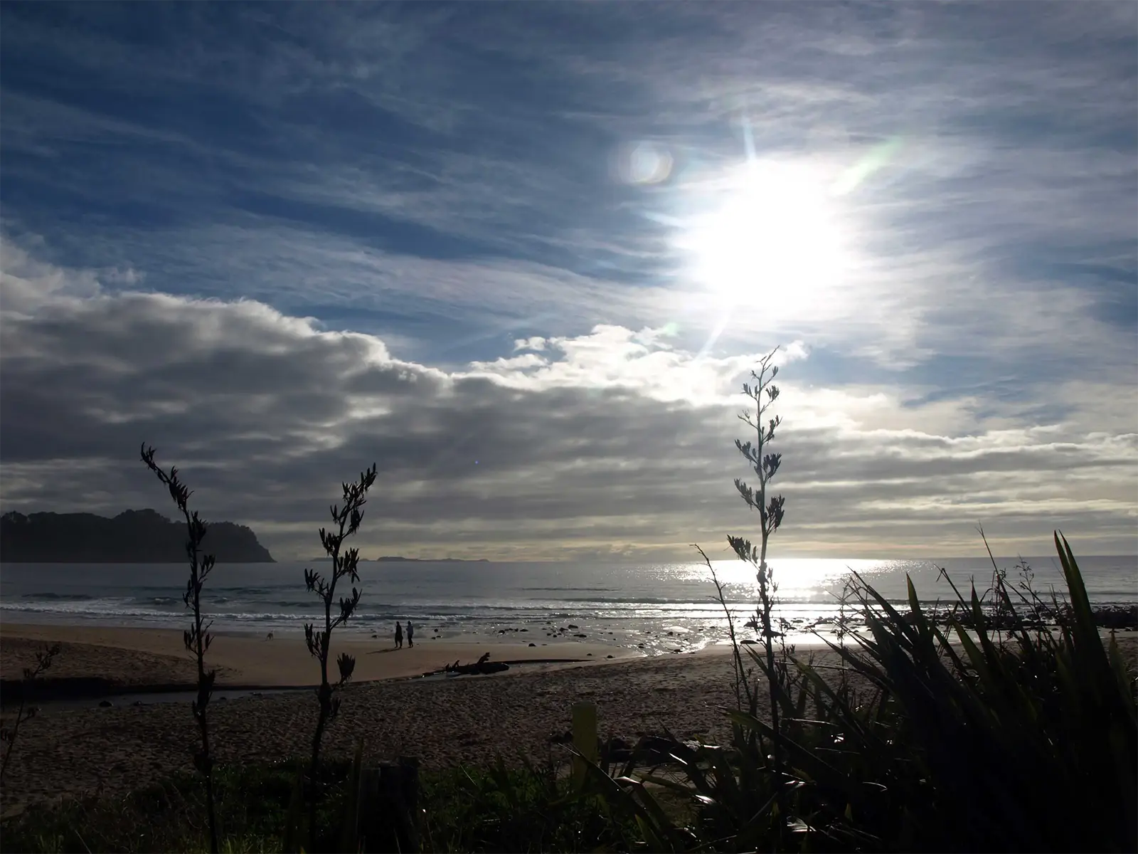 Soleil voilé au-dessus d’une plage et de la mer, entre les tiges de lin à contre-jour, sur l’île du Nord
