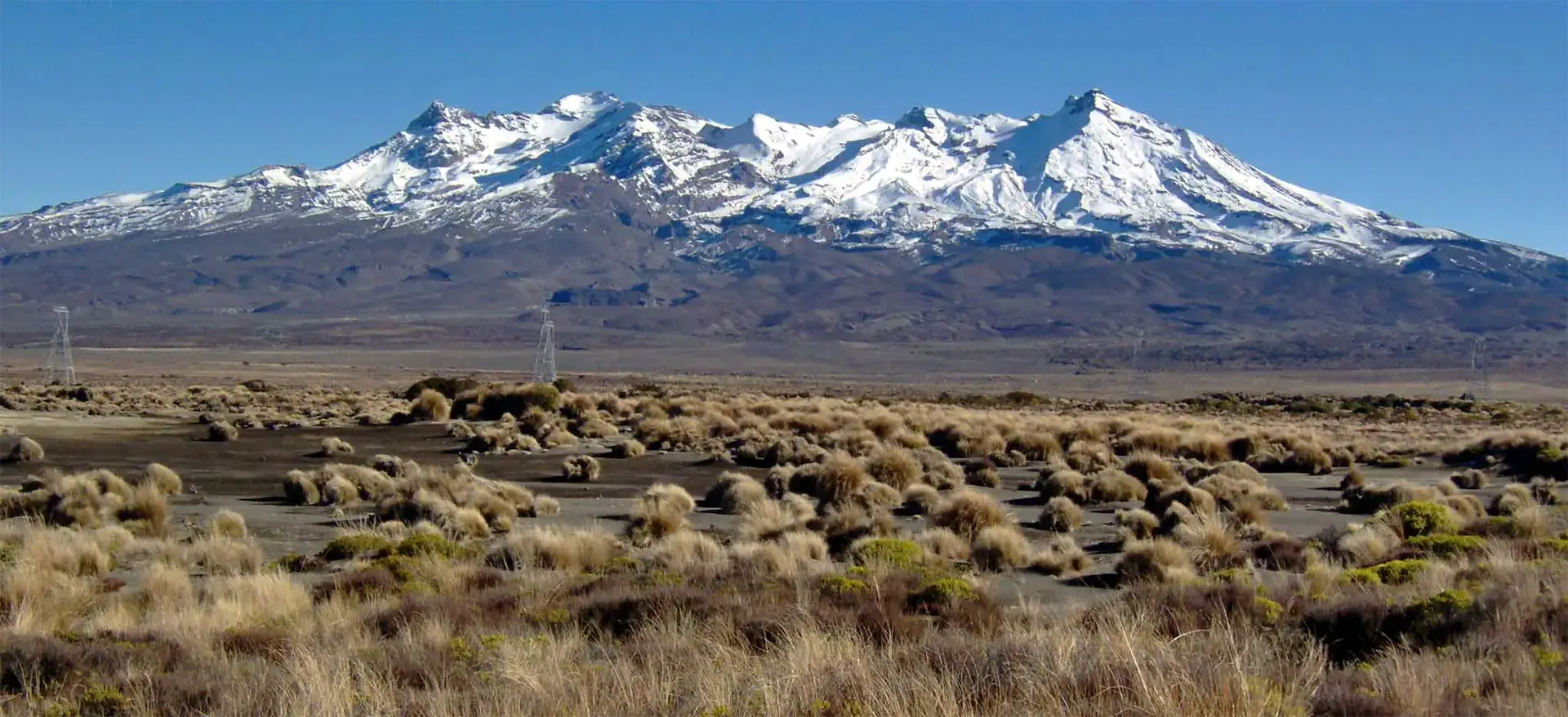 Le mont Ruapehu enneigé au-dessus des touffes d’herbe du plateau volcanique, au sud de Taupo