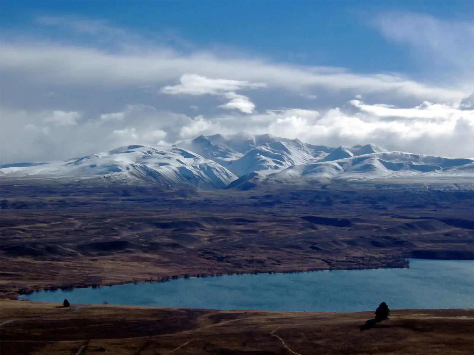 Le lac Alexandrina aux eaux bleues au pied des sommets enneigés, deux arbres isolés au premier plan, vu du mont John à Tekapo