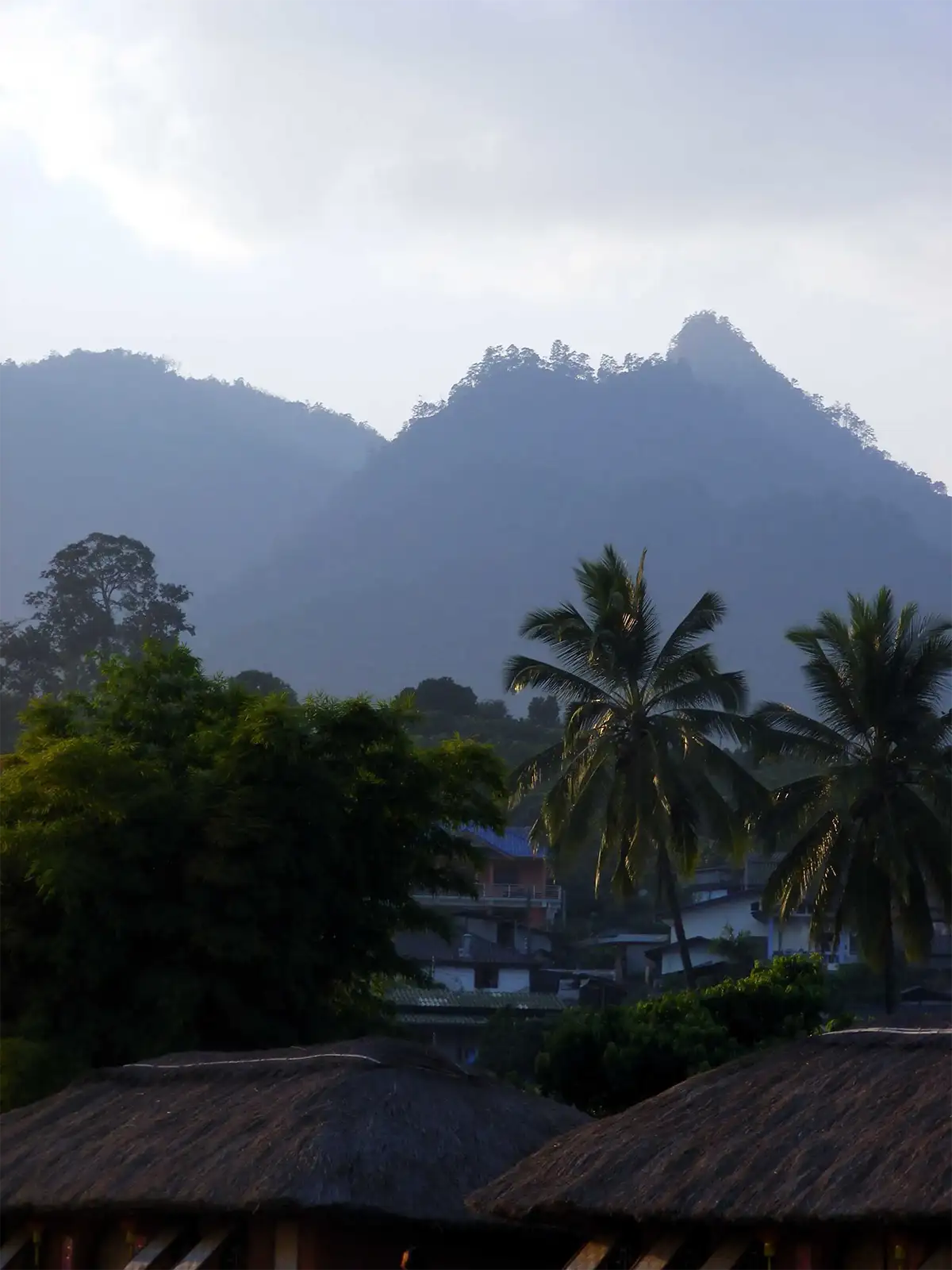 Montagnes boisées dans la brume au-dessus de palmiers et de toits de chaume, nord de la Thaïlande