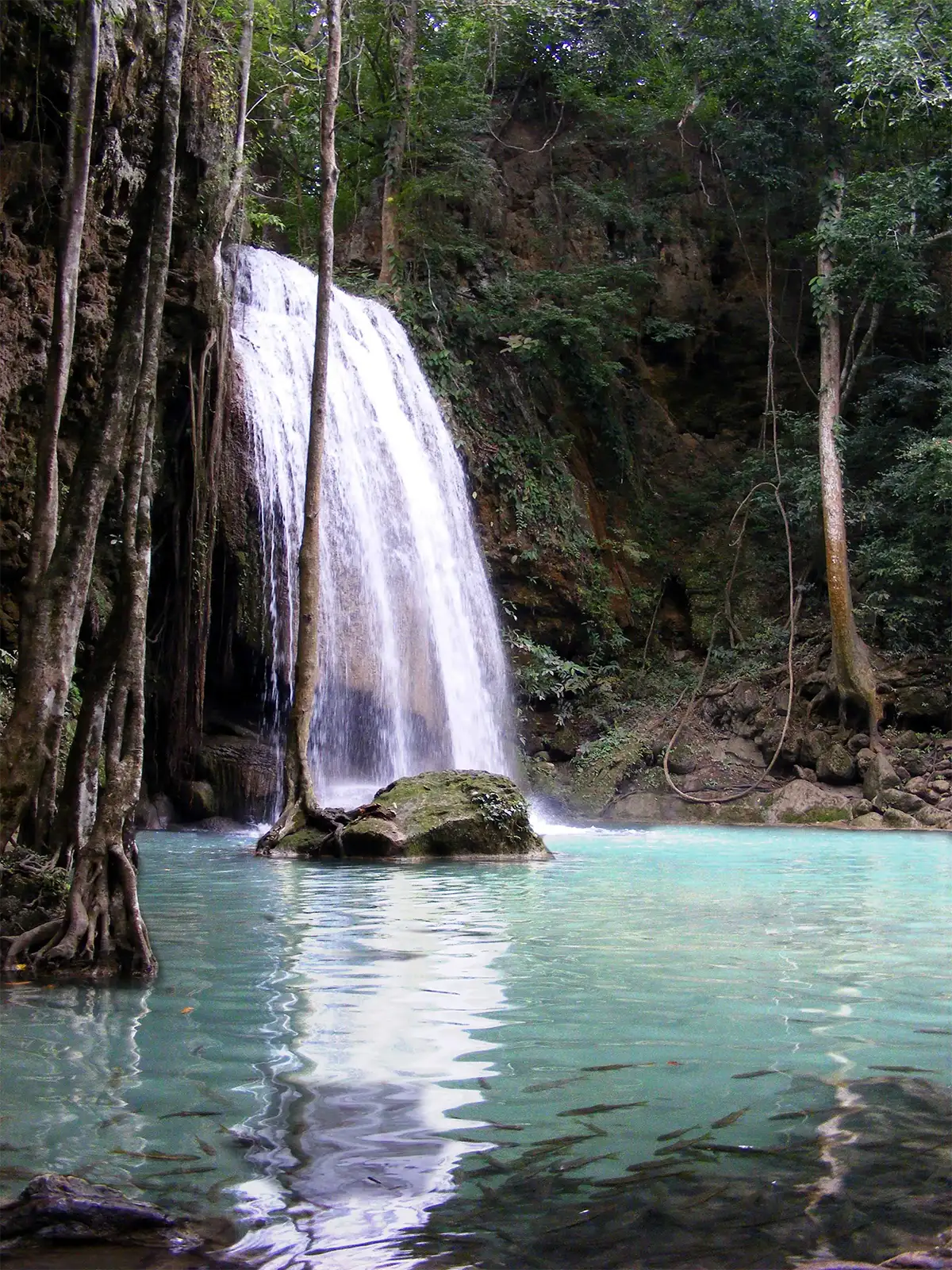 Chute d’eau et piscine naturelle aux eaux turquoise peuplée de poissons près de Kanchanaburi