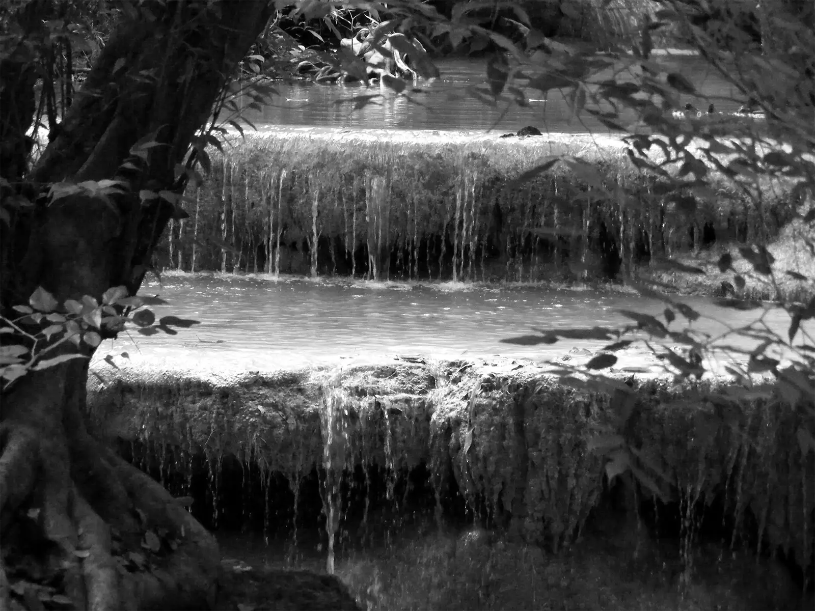 Paliers d’une cascade derrière un tronc d’arbre, en noir et blanc, près de Kanchanaburi