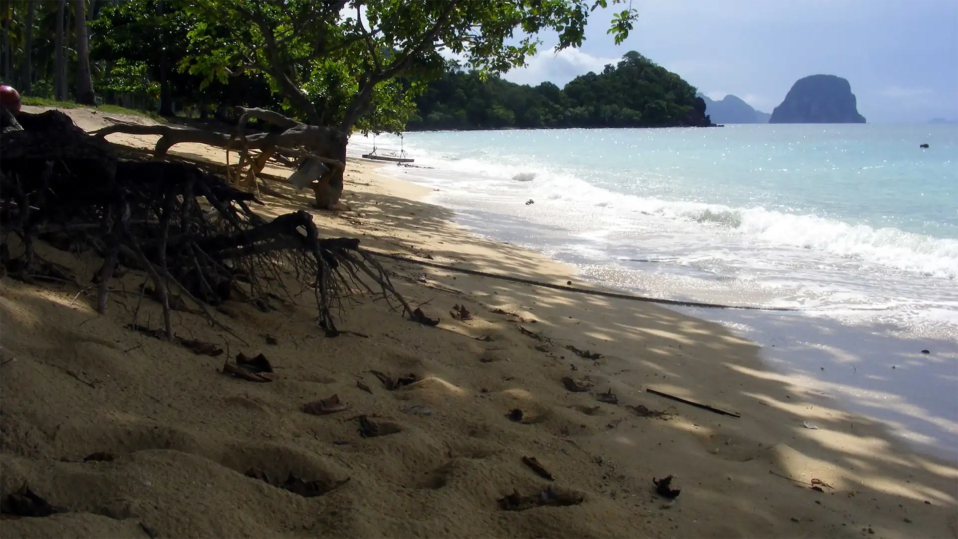 Plage ombragée aux racines apparentes face aux pitons calcaires de la mer d’Andaman à Koh Ngai