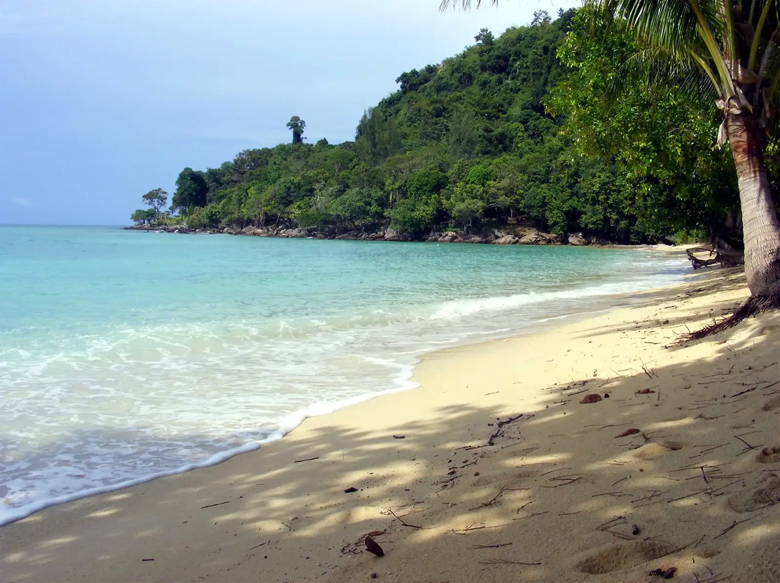 Crique de sable doré et eau turquoise bordée de jungle sur l’île de Koh Ngai