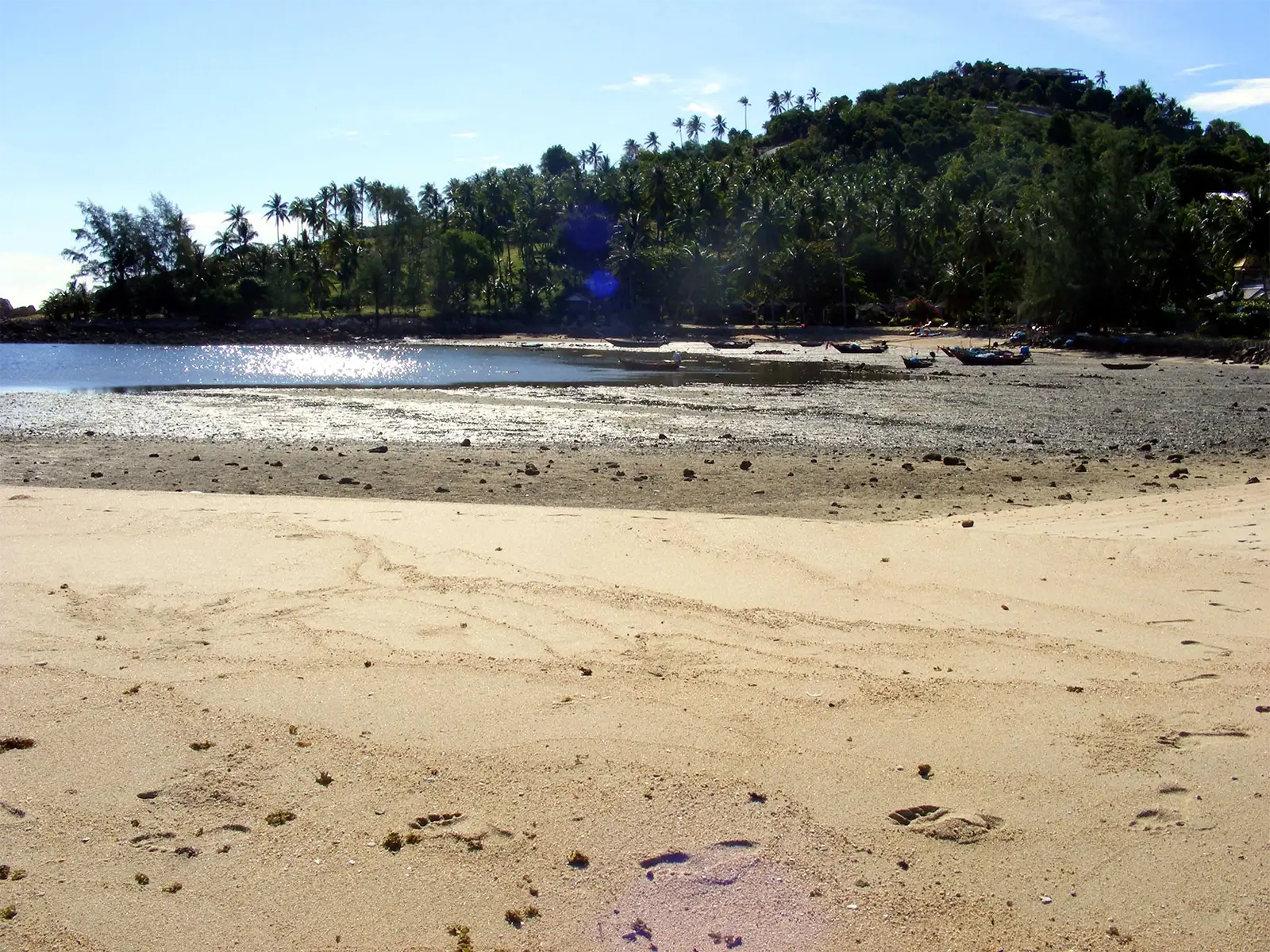 Plage à marée basse et colline couverte de cocotiers à Koh Phangan