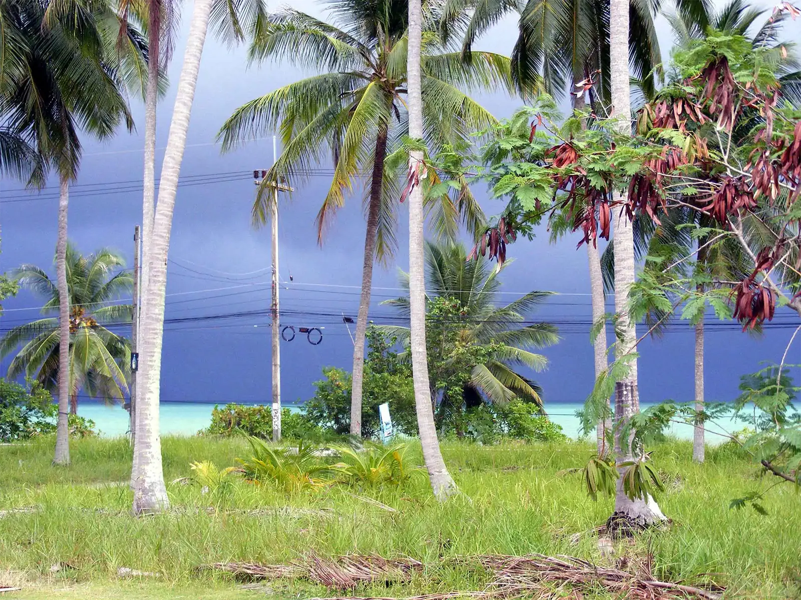 Cocotiers et lagon turquoise sous un ciel d’orage menaçant à Koh Phangan