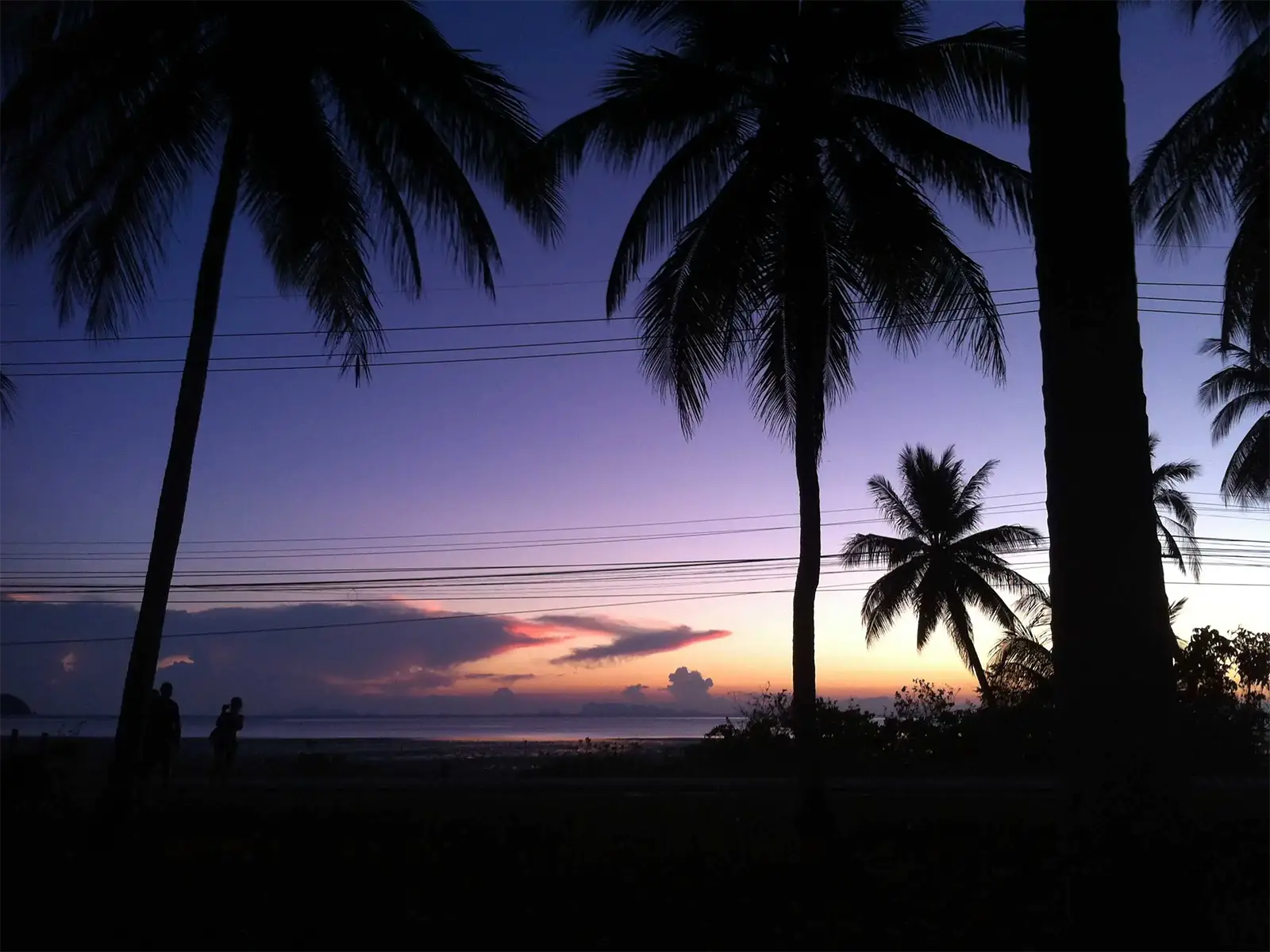 Silhouettes de palmiers et de promeneurs au crépuscule violet à Koh Phangan