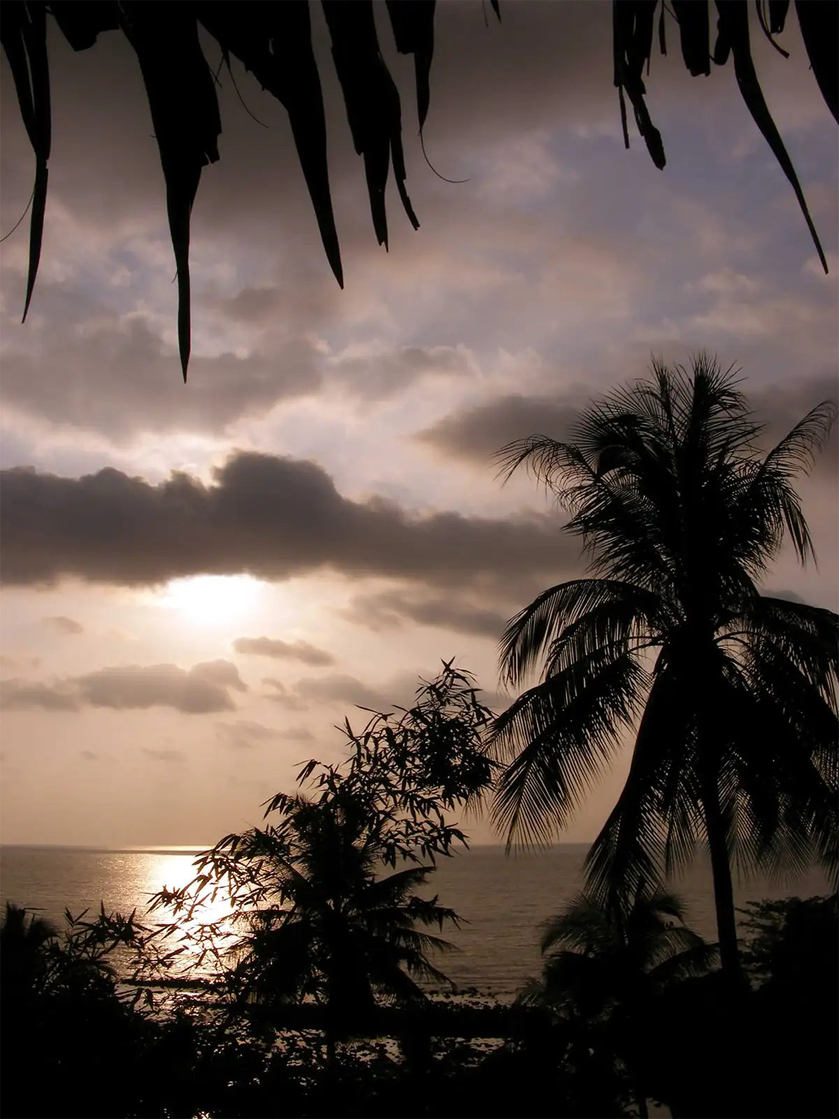 Coucher de soleil voilé sur la mer à travers les palmiers à Koh Chang