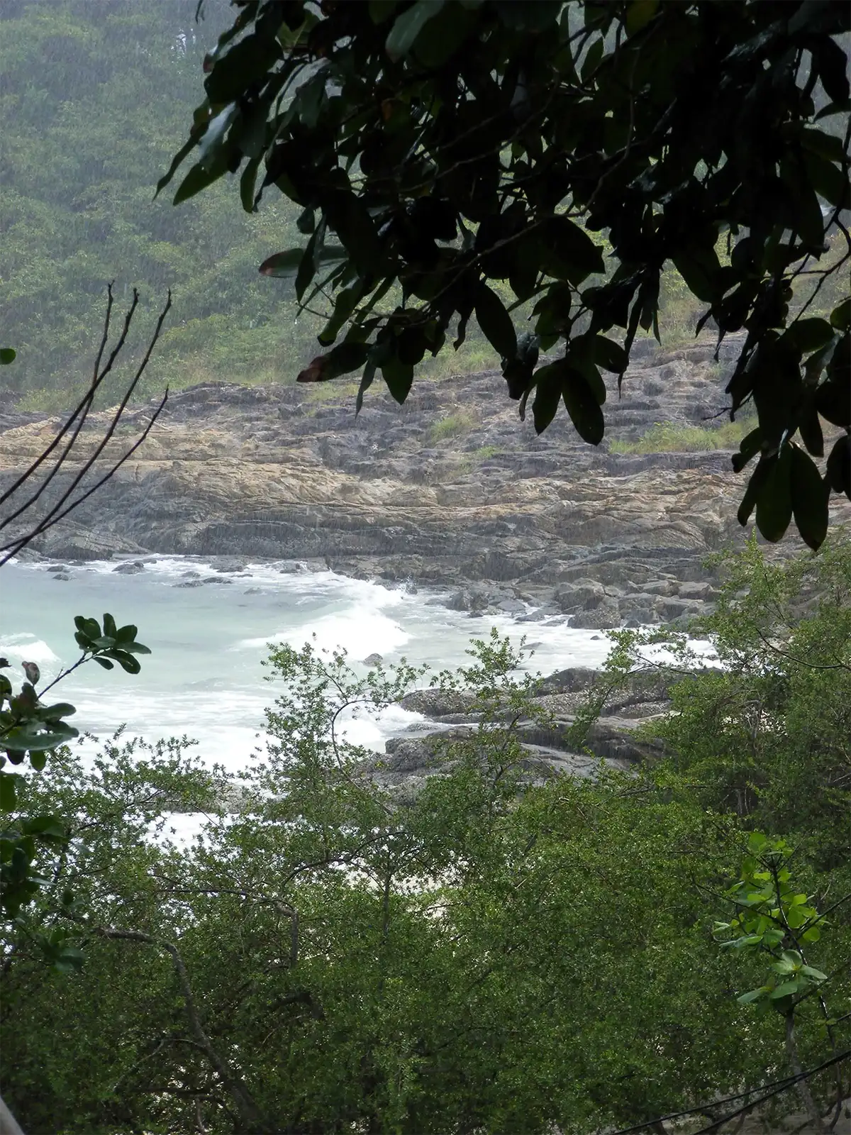 Vagues dans une crique rocheuse aperçue à travers la jungle, sur une île de l’est de la Thaïlande