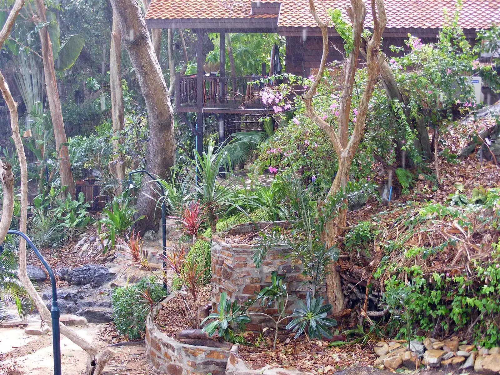 Jardin tropical et bungalow en bois sous la pluie, sur une île de l’est de la Thaïlande