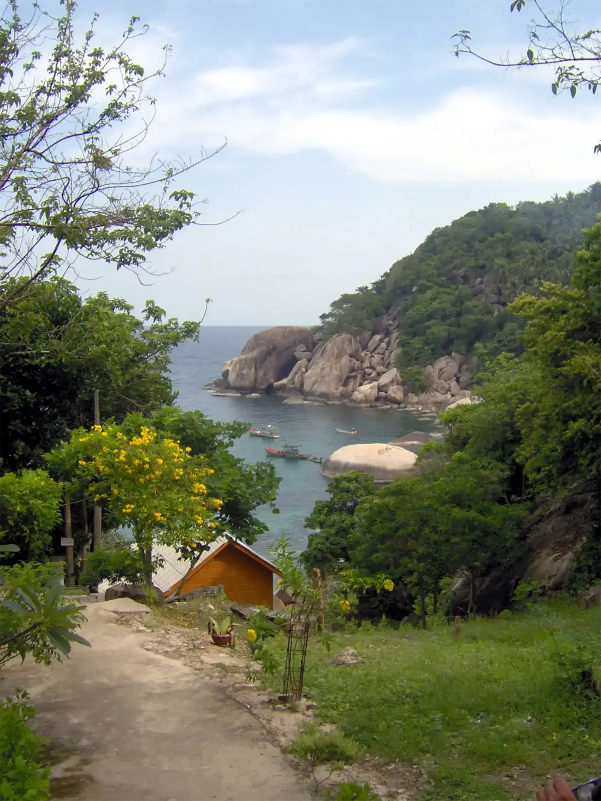 Sentier fleuri descendant vers une crique aux rochers arrondis et bateaux à Koh Tao